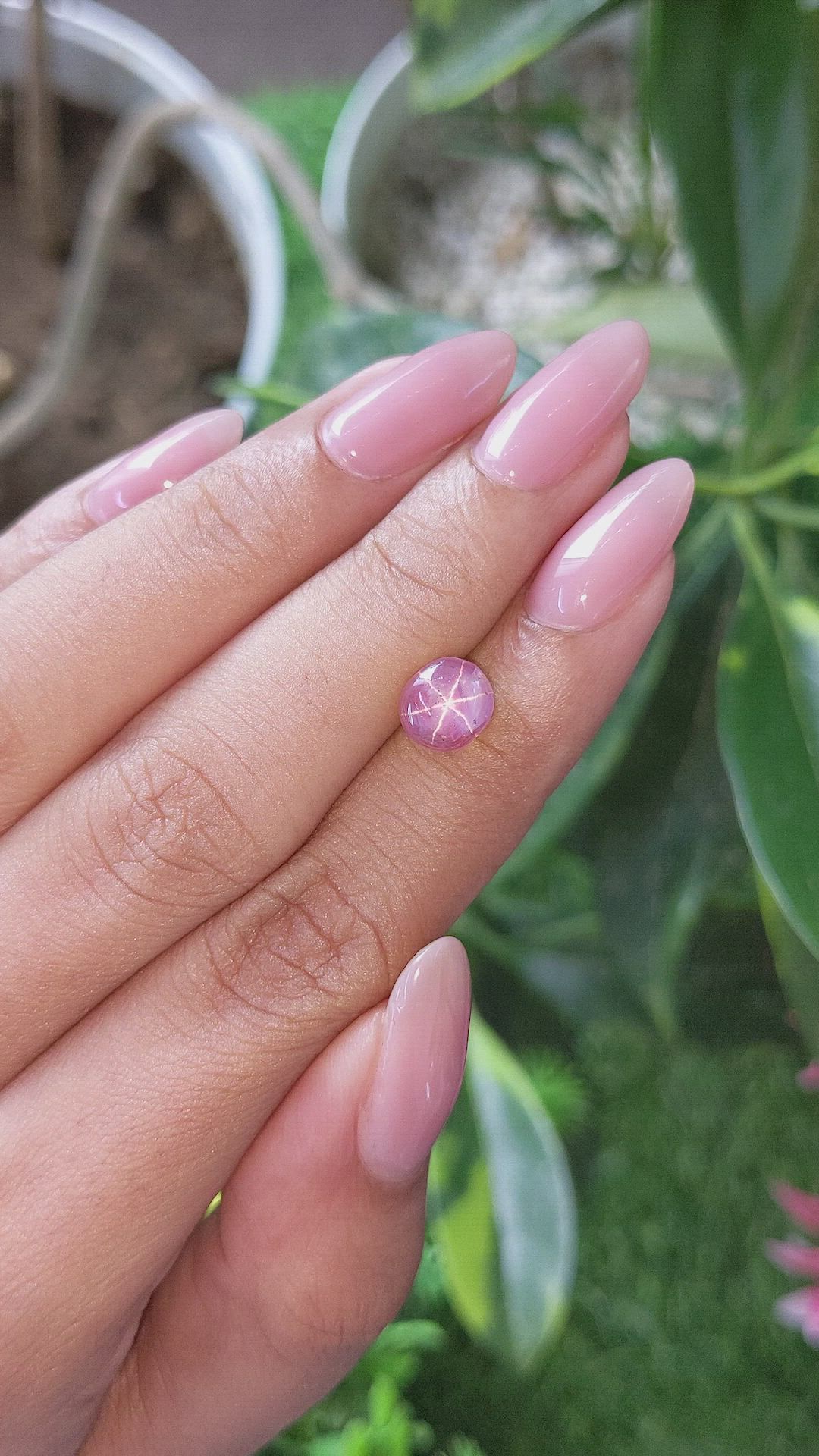 3.24 Ct. Pink Star Sapphire from Ceylon (Sri Lanka) Size Video
