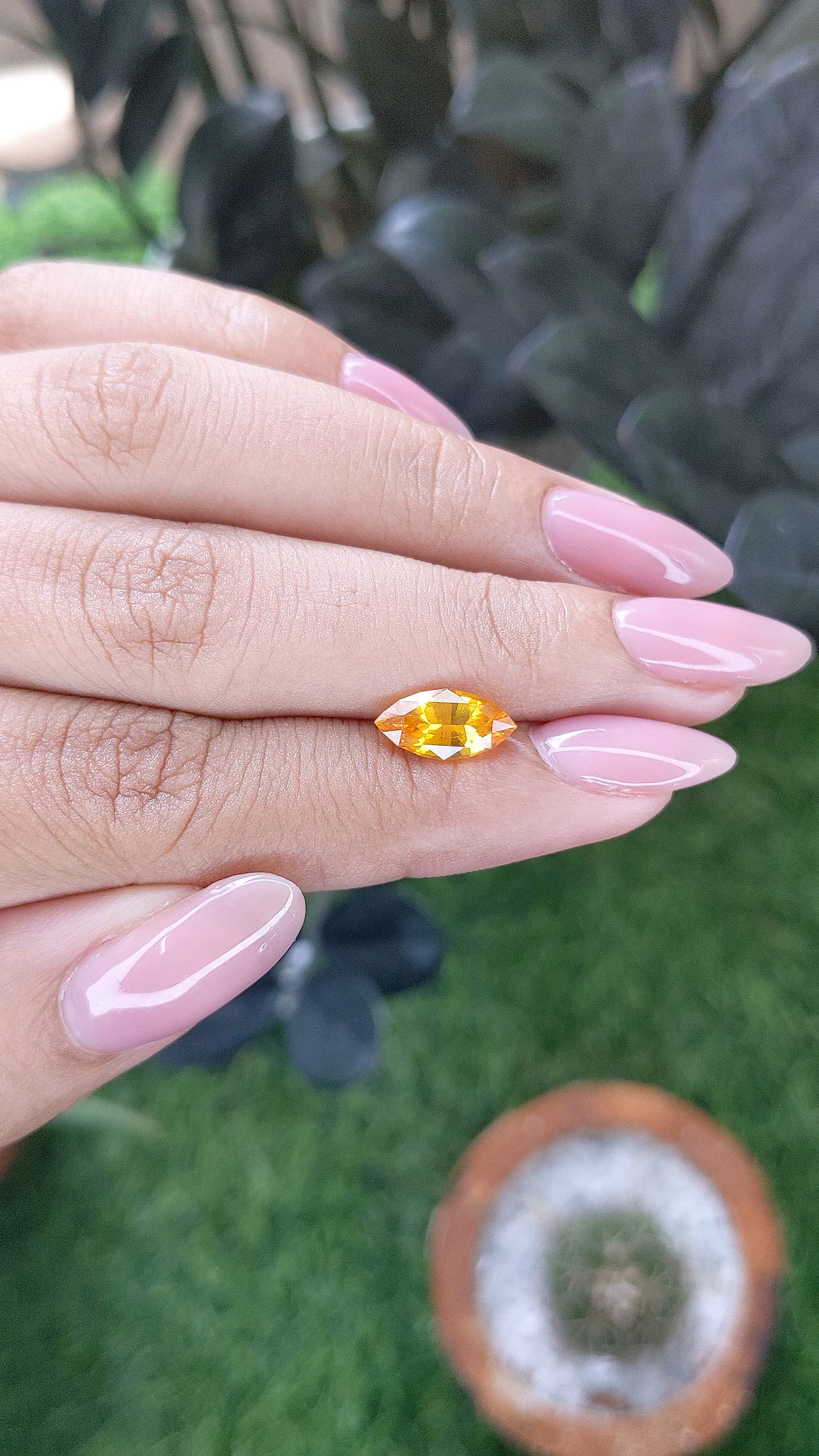 2.03 Ct. Orangish Yellow Sapphire from Ceylon (Sri Lanka) Size Video