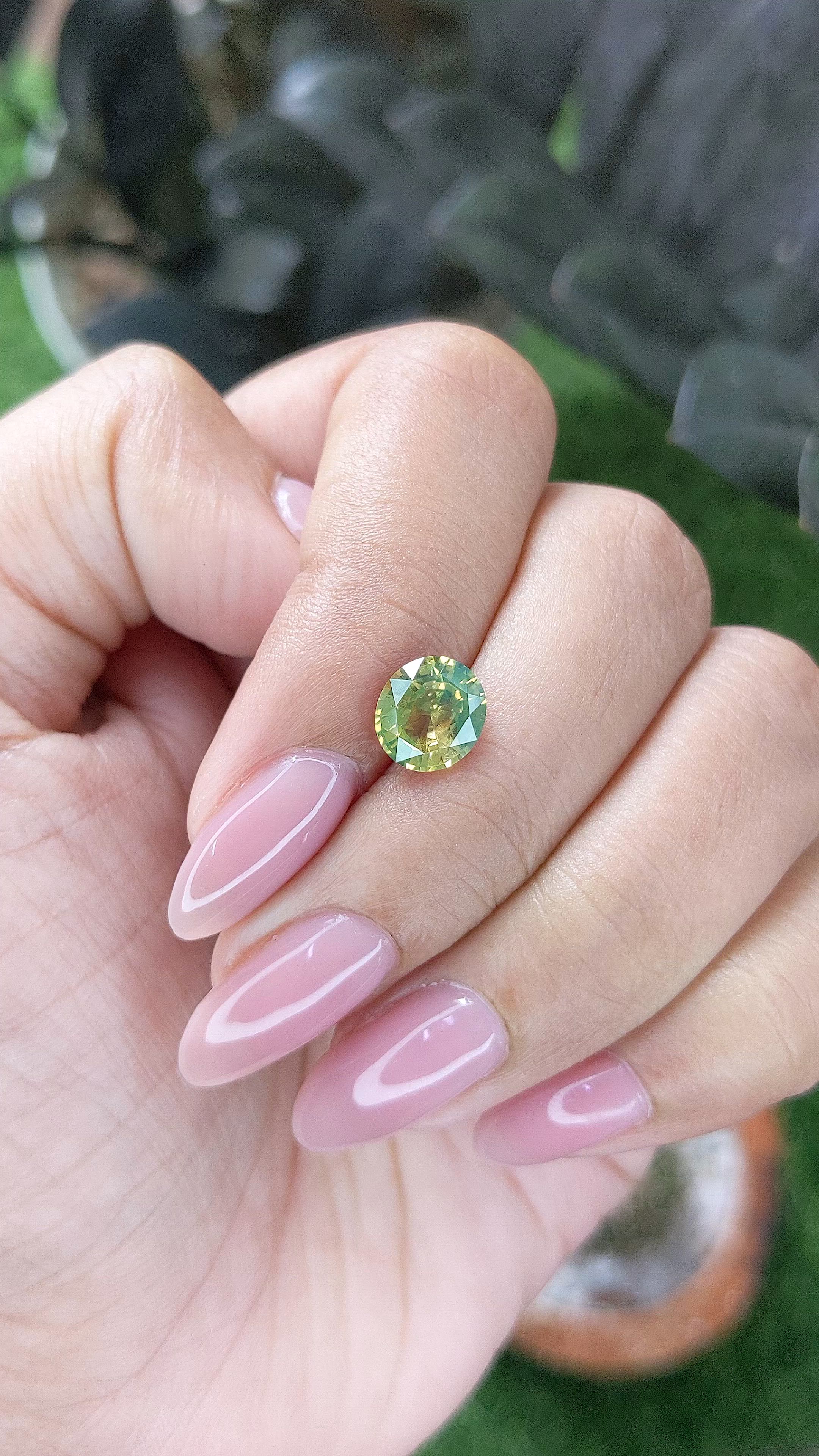 2.10 Ct. Greenish Yellow Sapphire from Ceylon (Sri Lanka) Size Video