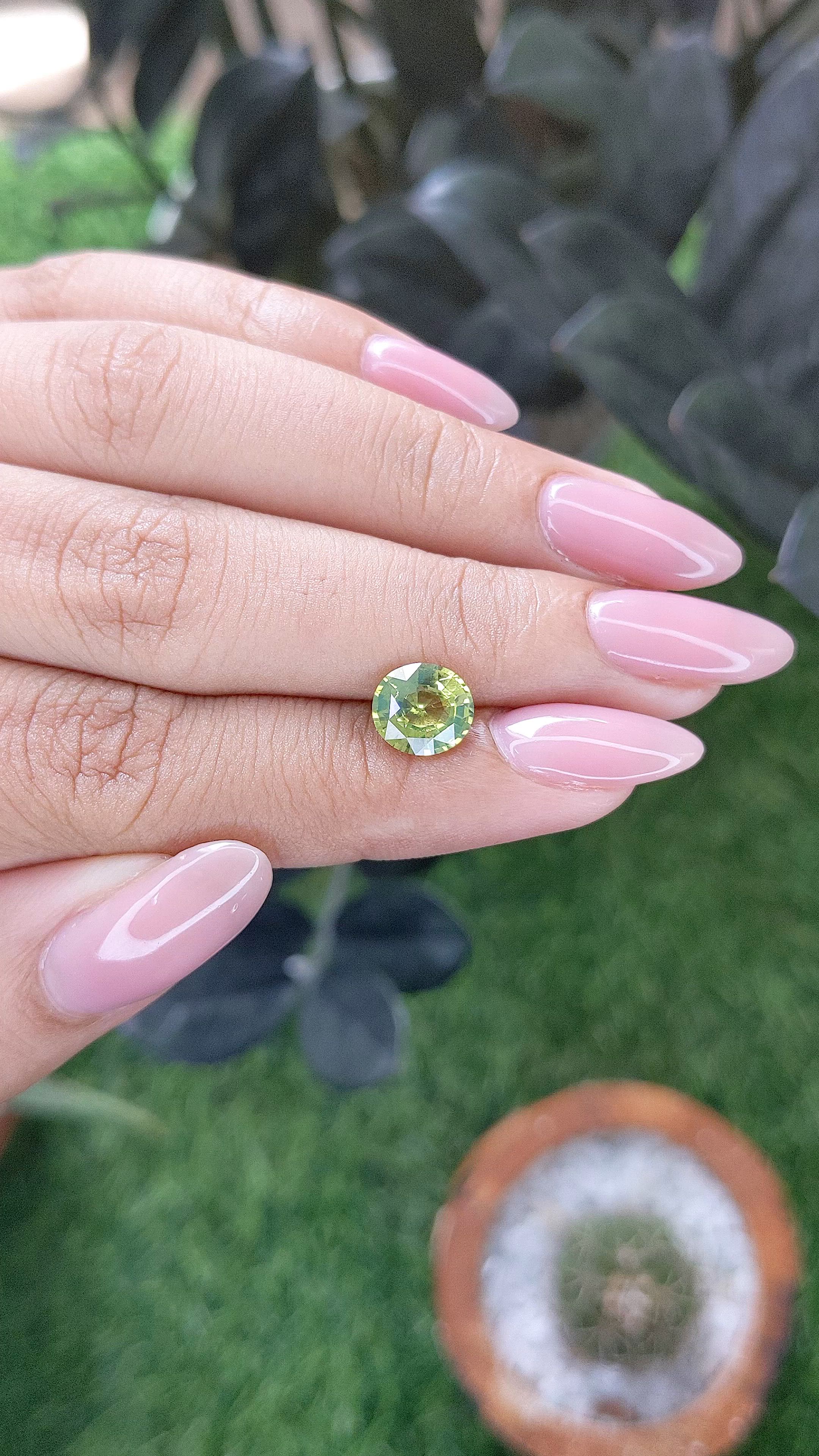 2.10 Ct. Greenish Yellow Sapphire from Ceylon (Sri Lanka) Size Video