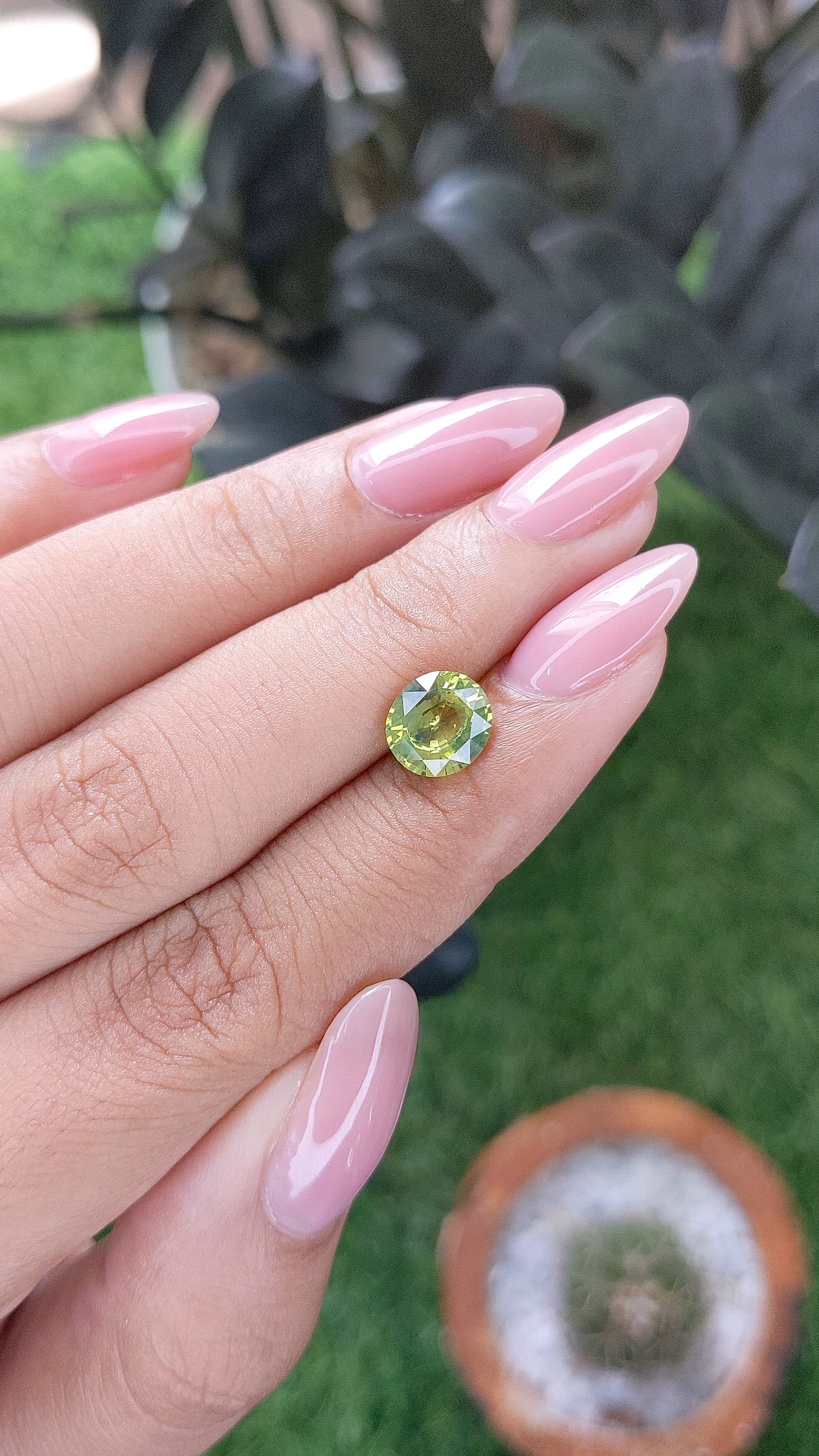 2.10 Ct. Greenish Yellow Sapphire from Ceylon (Sri Lanka) Size Video