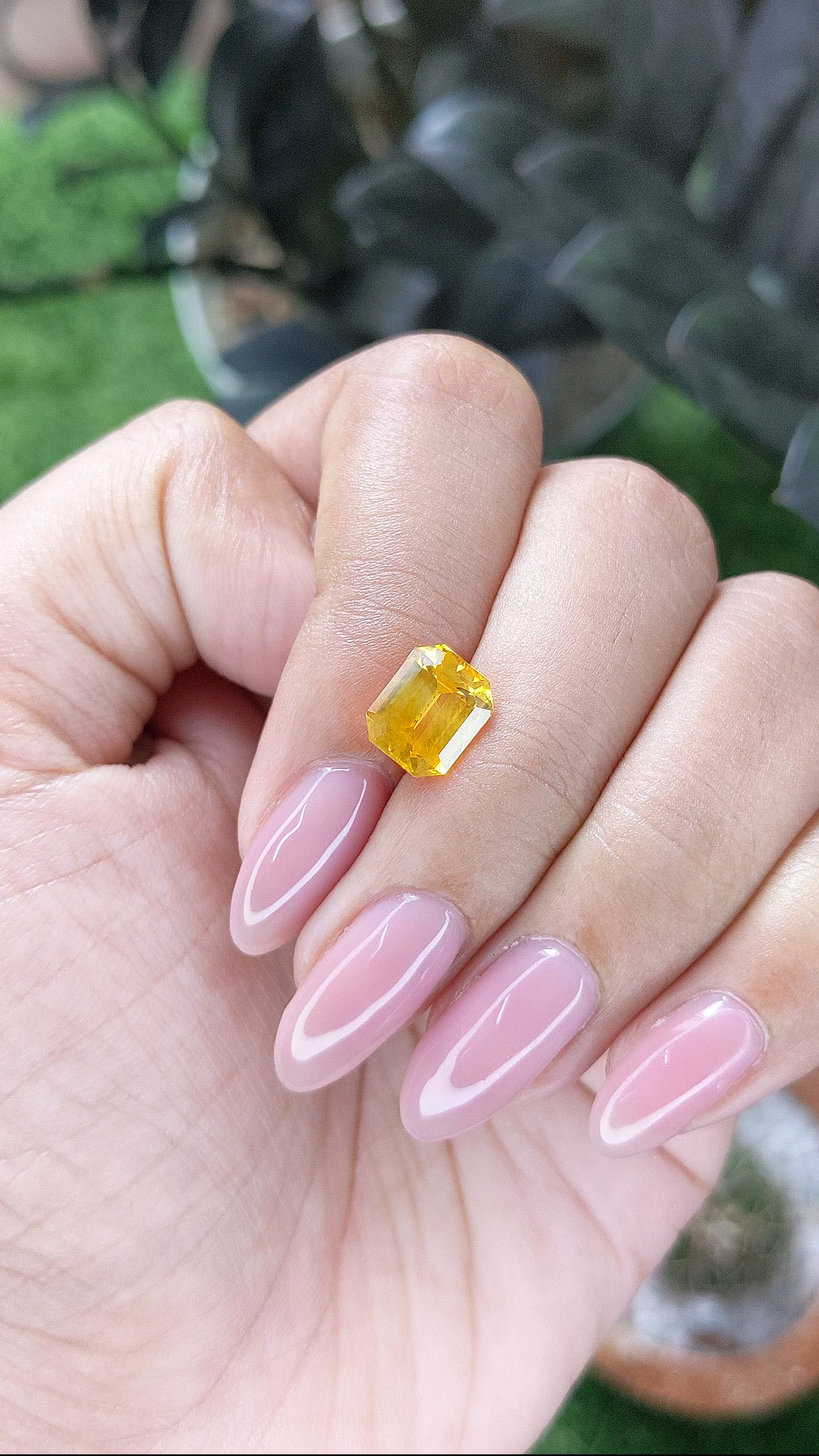 2.82 Ct. Orangish Yellow Sapphire from Ceylon (Sri Lanka) Size Video
