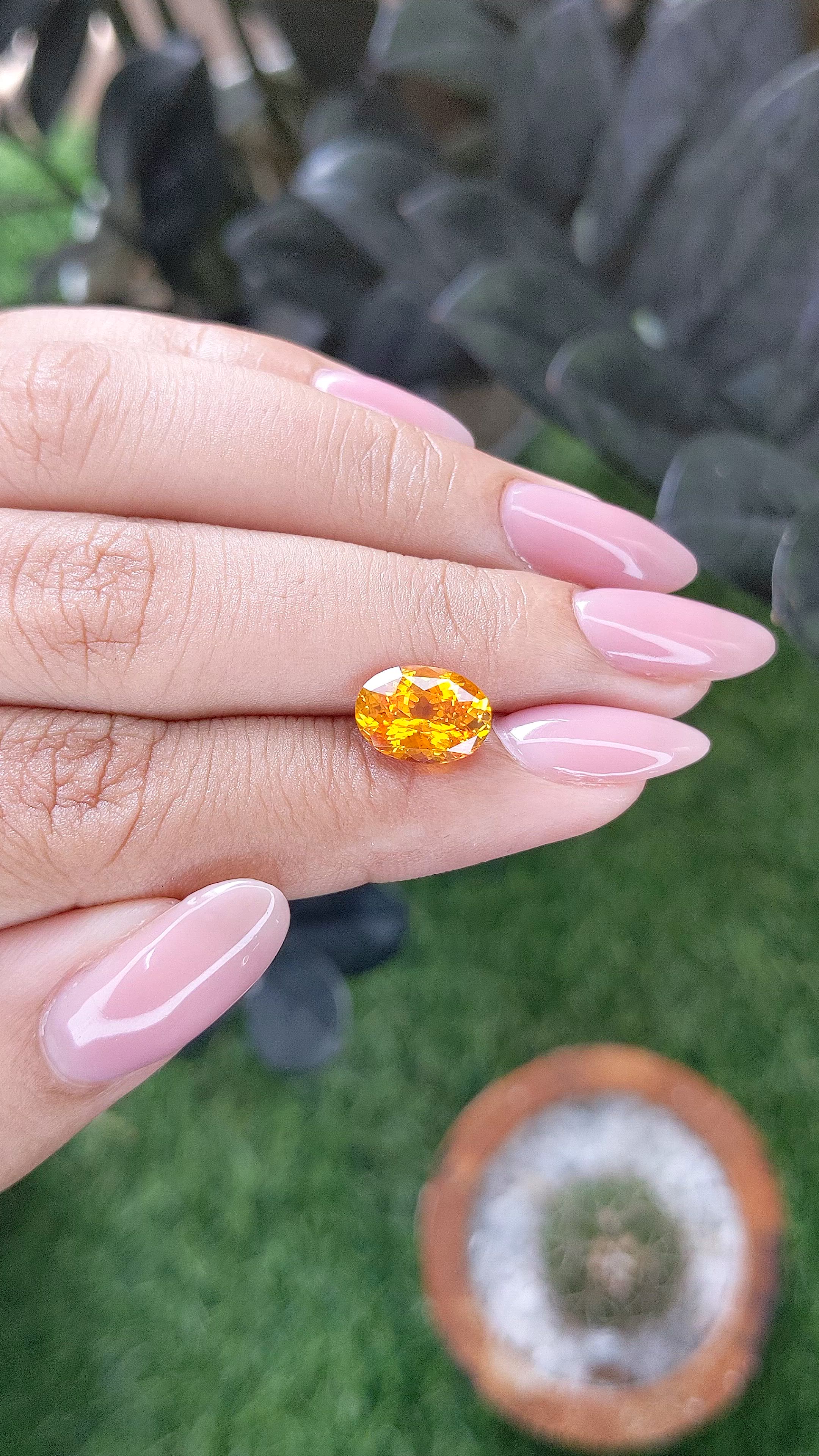 2.96 Ct. Yellowish Orange Sapphire from Ceylon (Sri Lanka) Size Video