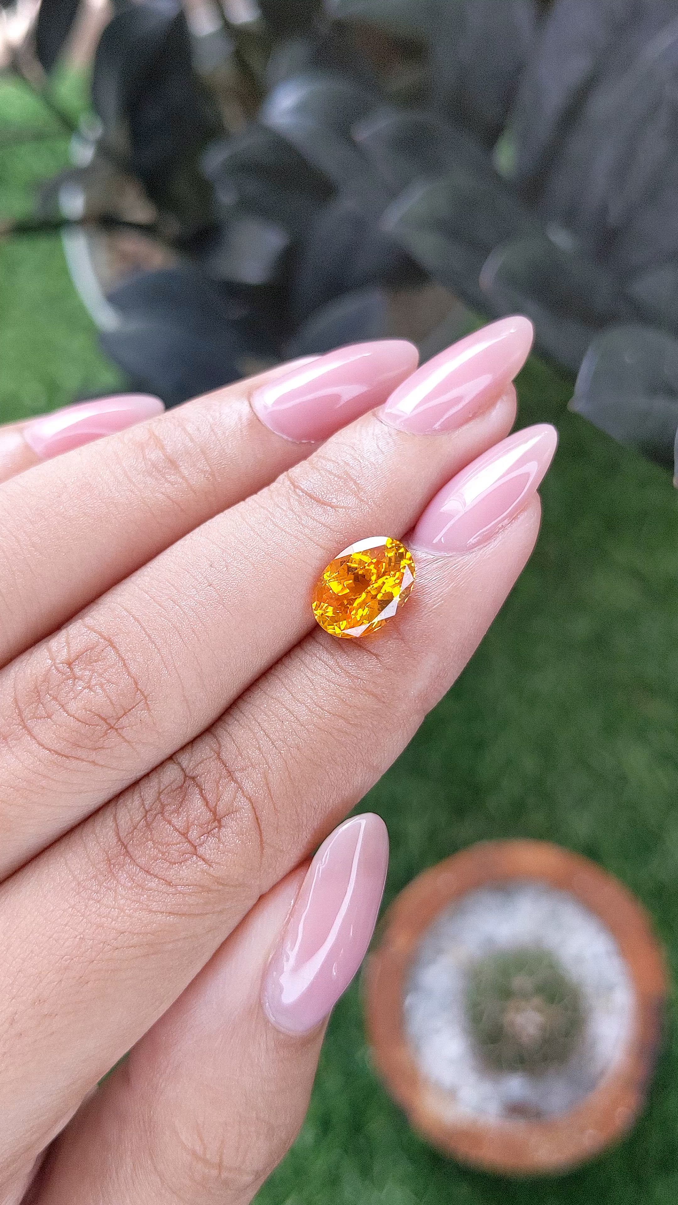 2.96 Ct. Yellowish Orange Sapphire from Ceylon (Sri Lanka) Size Video