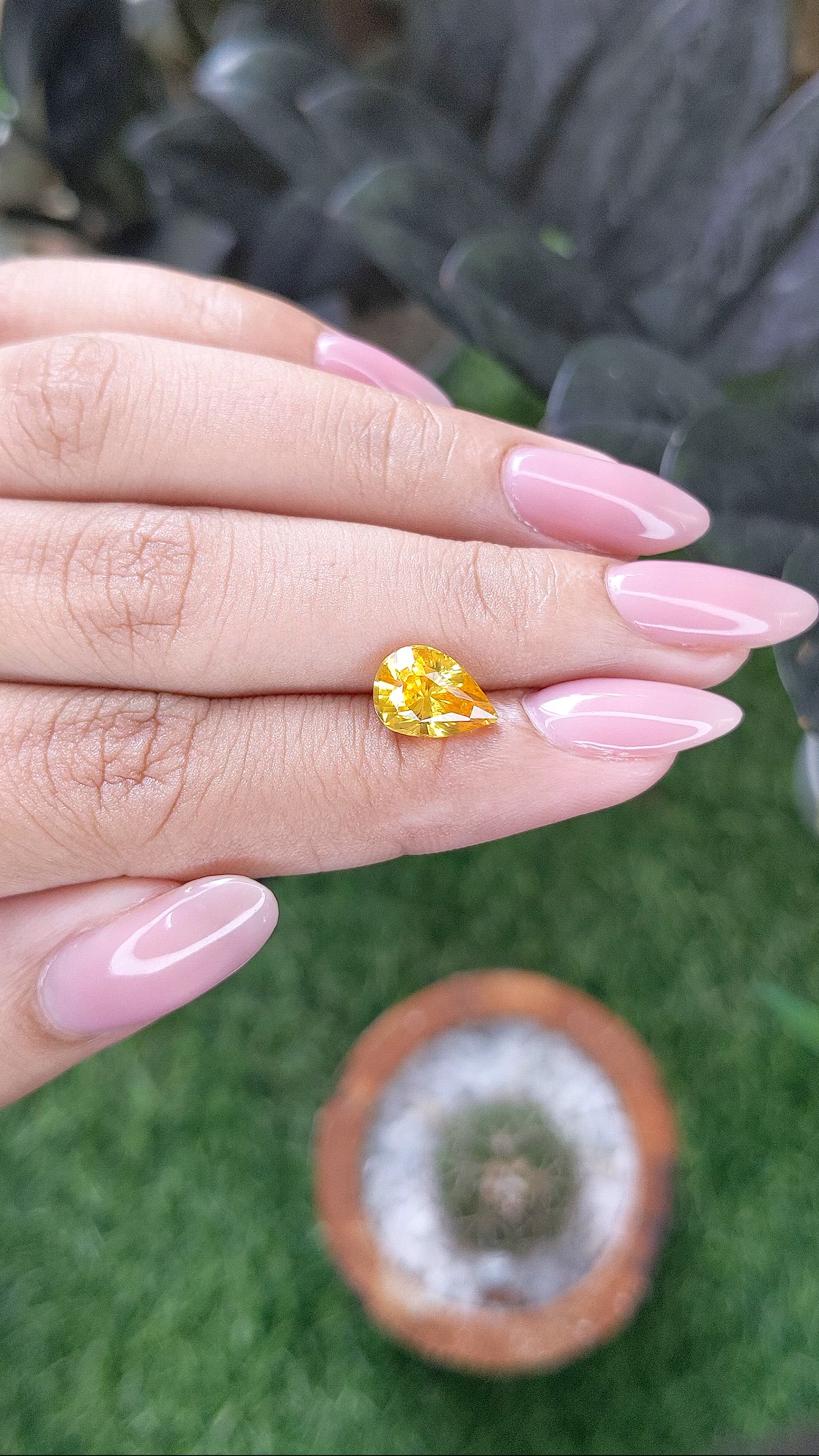 2.57 Ct. Orangish Yellow Sapphire from Ceylon (Sri Lanka) Size Video