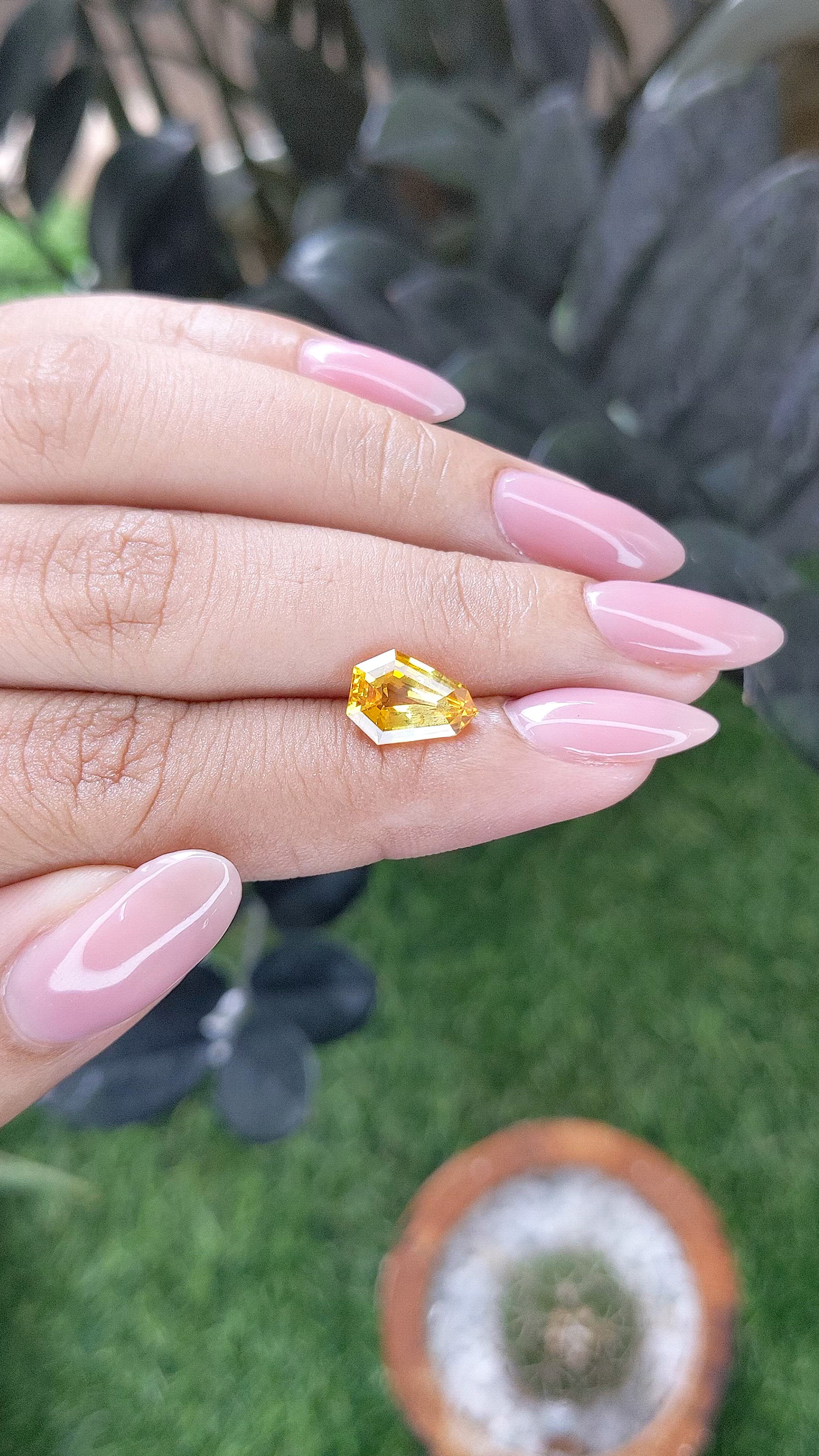 2.44 Ct. Yellow Sapphire from Ceylon (Sri Lanka) Size Video