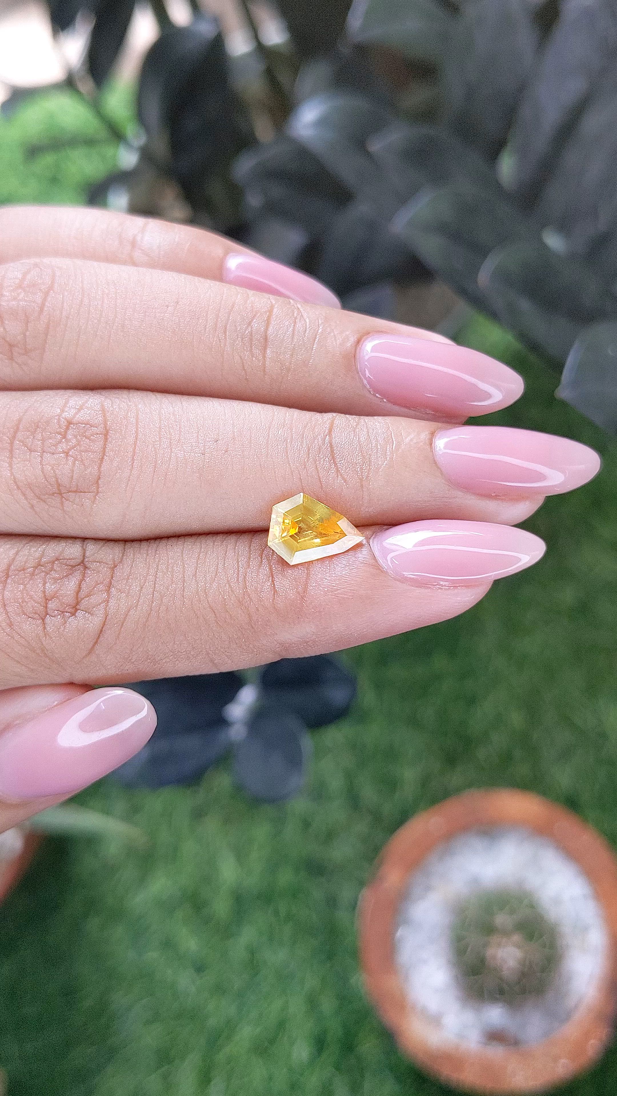 1.56 Ct. Yellow Sapphire from Ceylon (Sri Lanka) Size Video