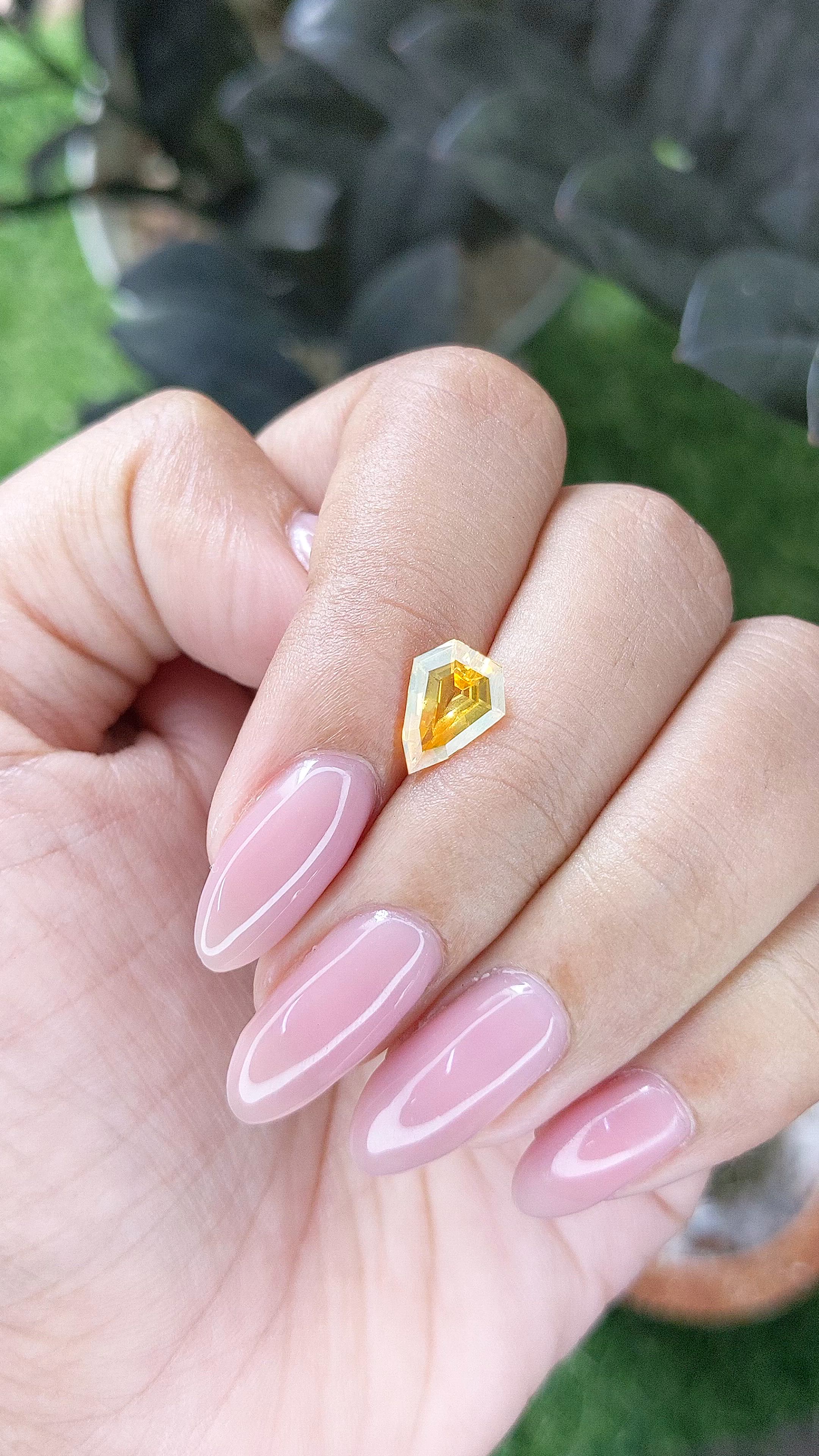 1.56 Ct. Yellow Sapphire from Ceylon (Sri Lanka) Size Video