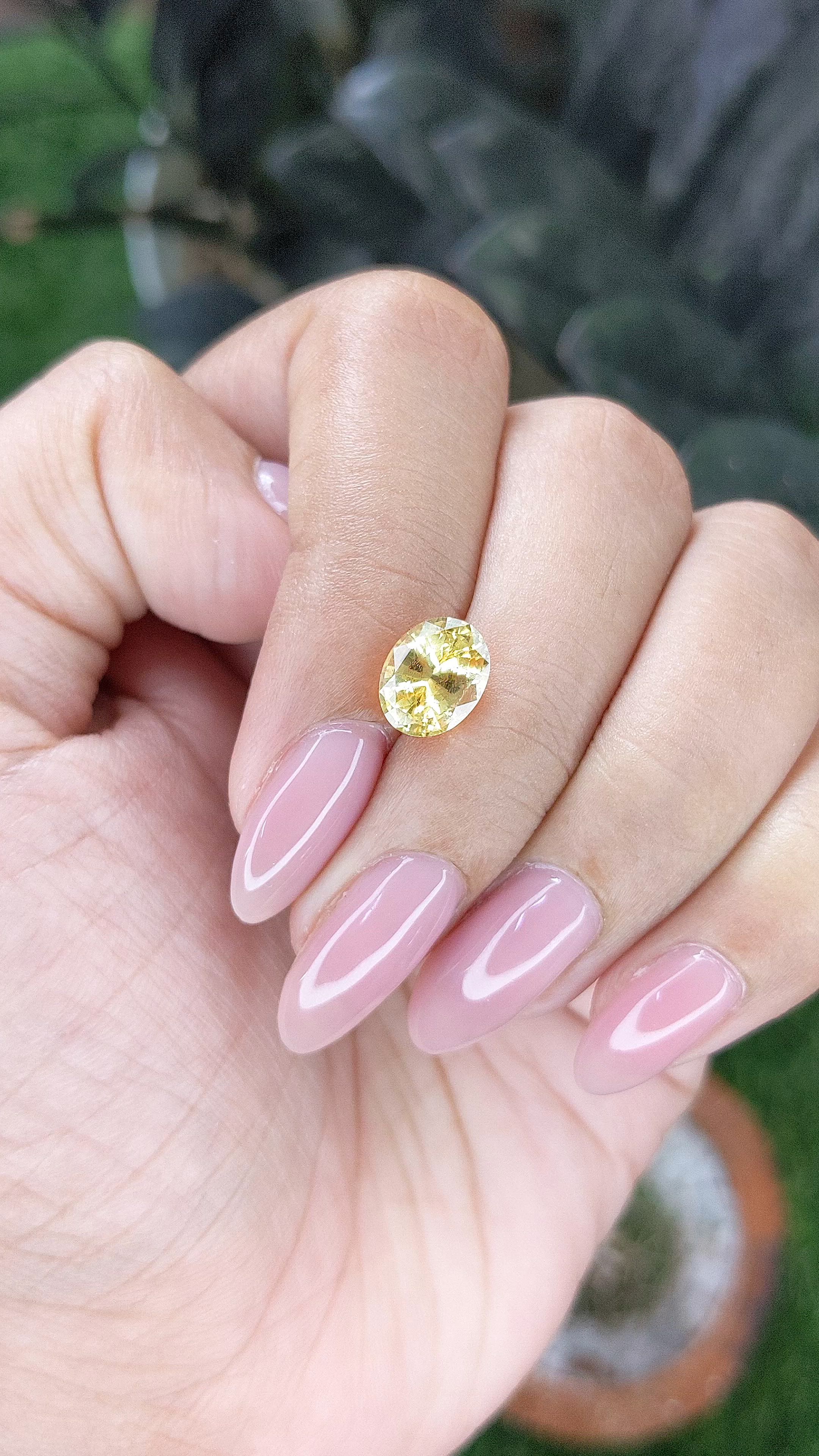 2.50 Ct. Yellow Sapphire from Ceylon (Sri Lanka) Size Video