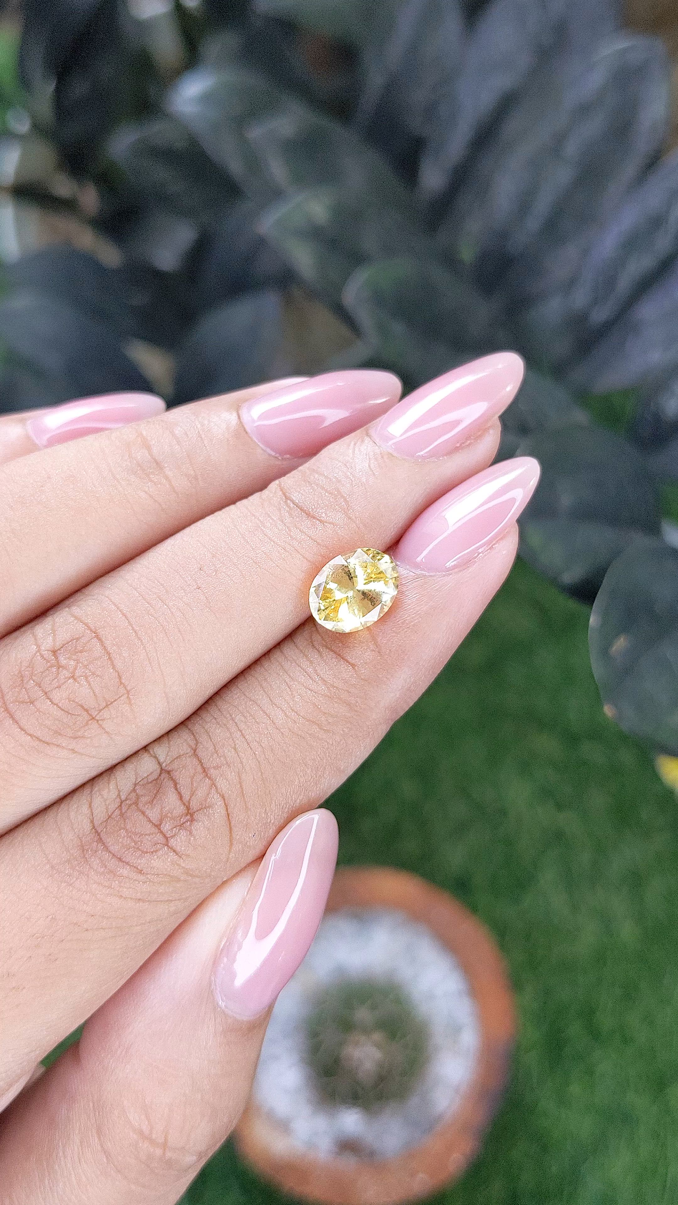 2.50 Ct. Yellow Sapphire from Ceylon (Sri Lanka) Size Video