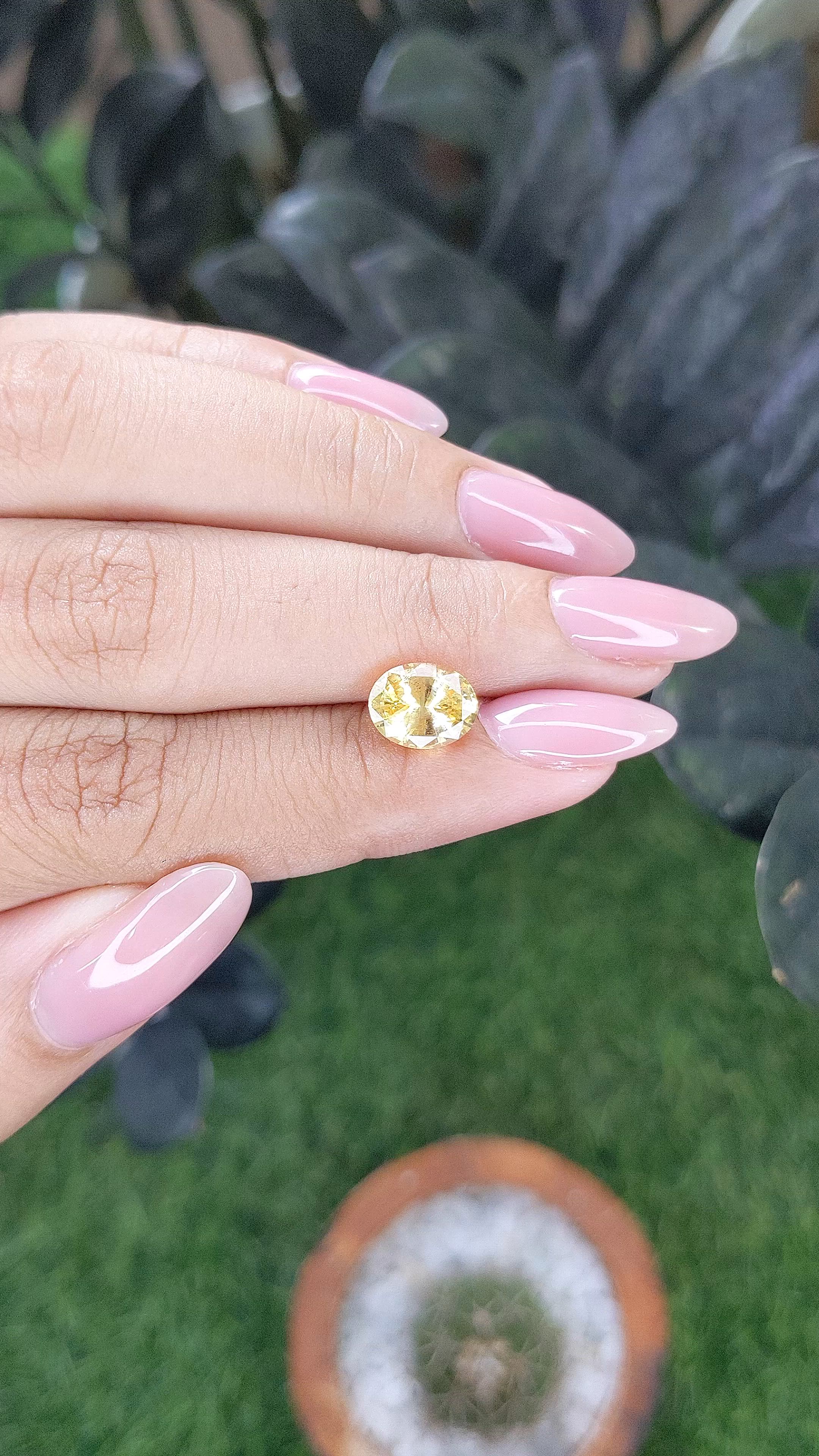2.50 Ct. Yellow Sapphire from Ceylon (Sri Lanka) Size Video