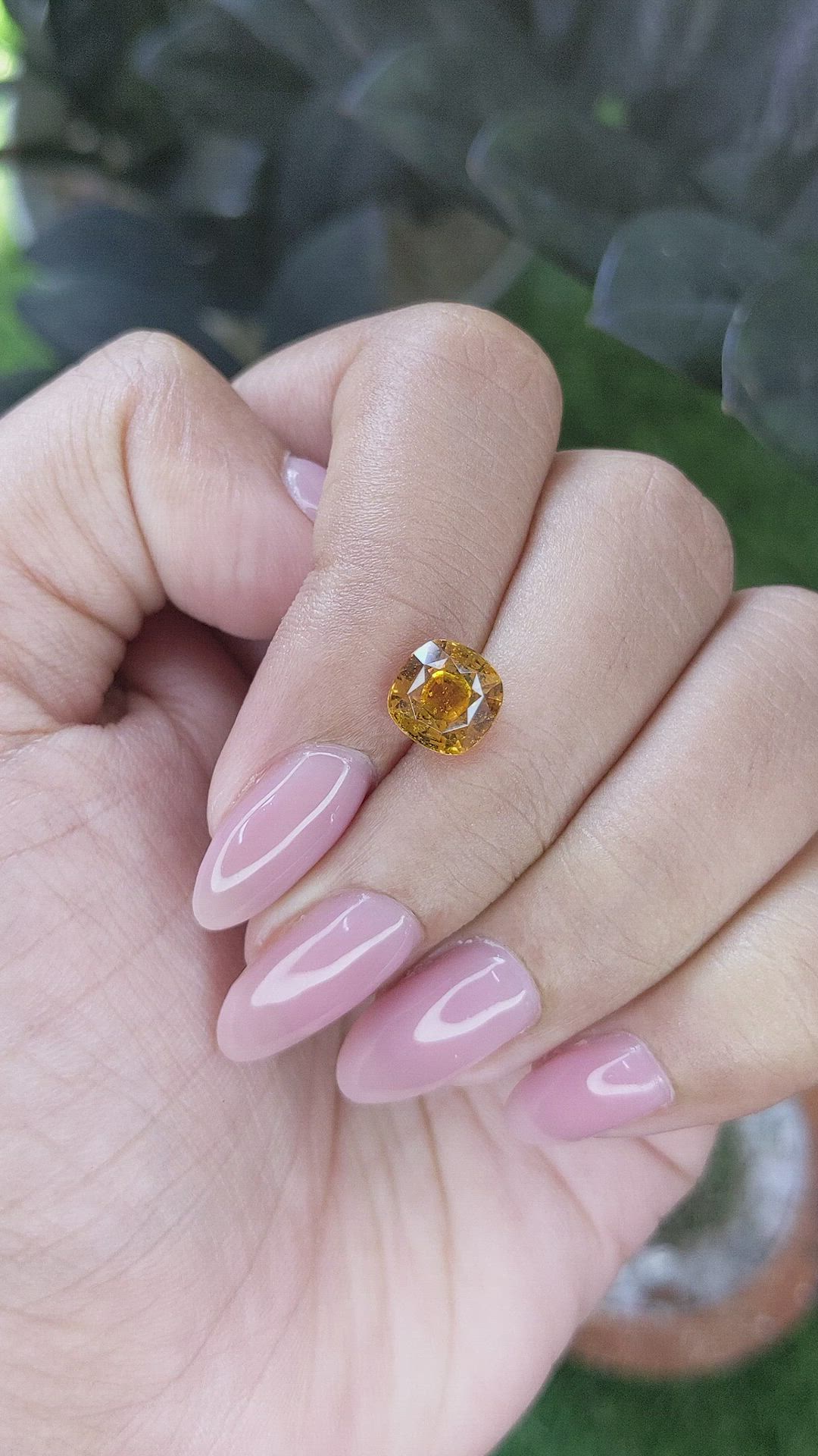 2.48 Ct. Orangish Yellow Sapphire from Ceylon (Sri Lanka) Size Video