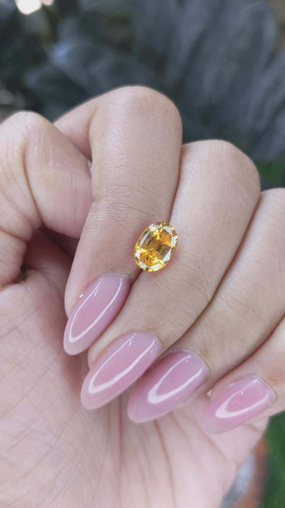 1.83 Ct. Orangish Yellow Sapphire from Ceylon (Sri Lanka) Size Video