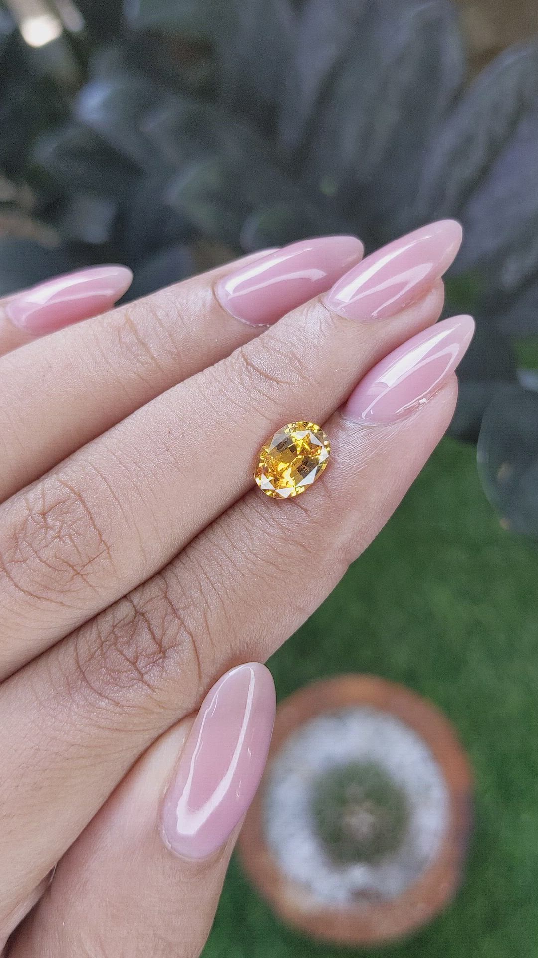 1.83 Ct. Orangish Yellow Sapphire from Ceylon (Sri Lanka) Size Video