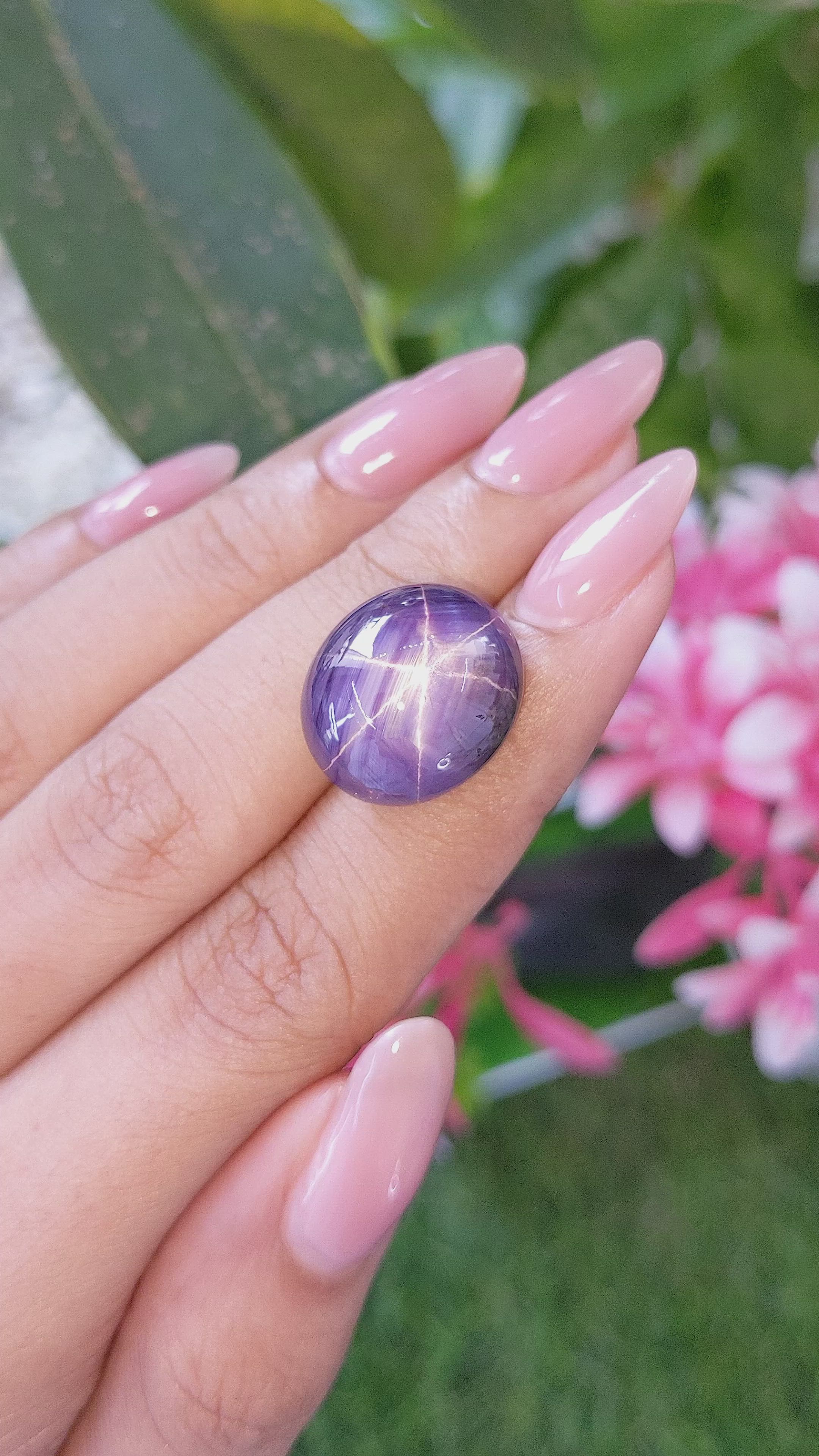 31.17 Ct. Purple Star Sapphire from Ceylon (Sri Lanka) Size Video