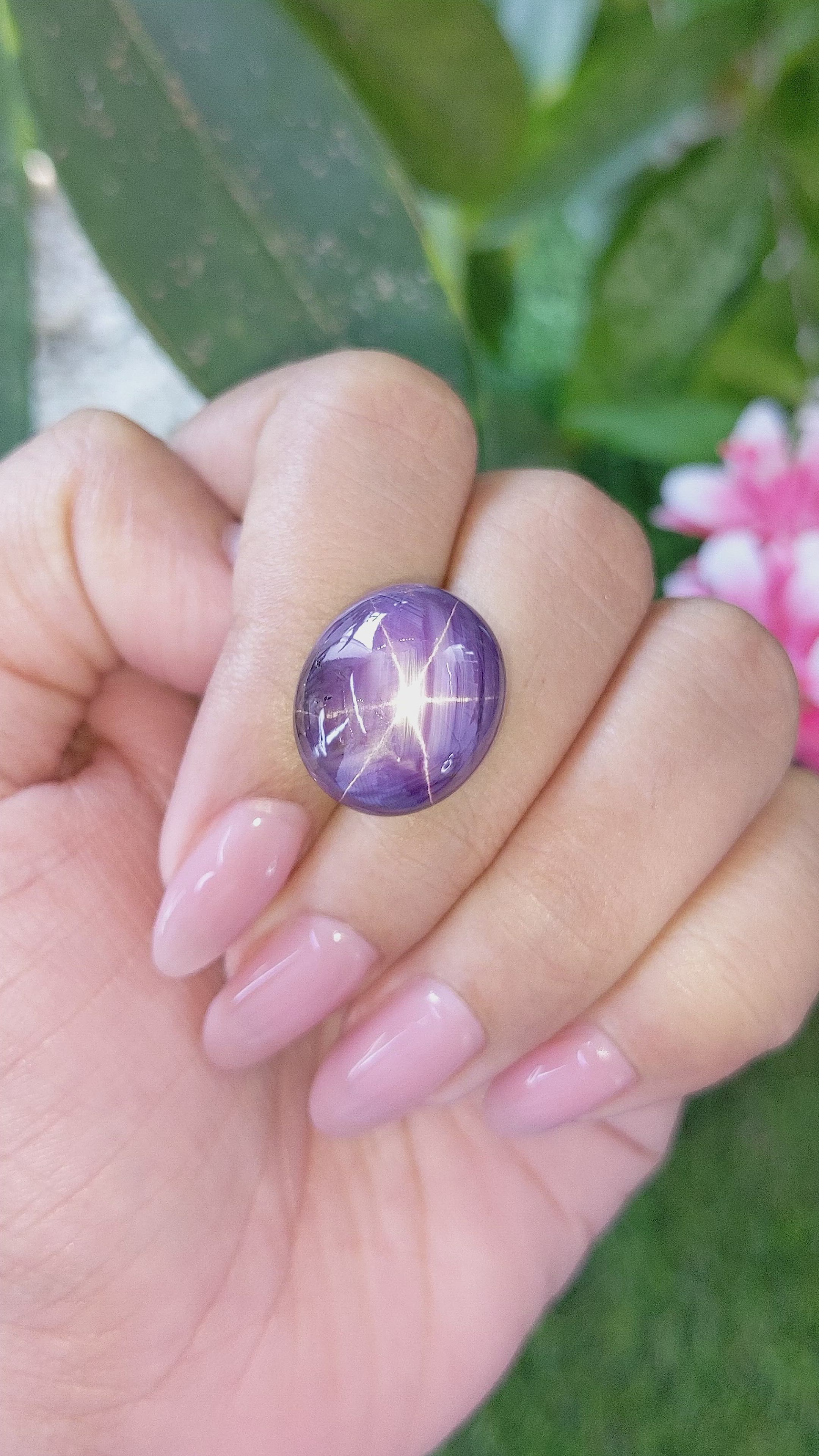 31.17 Ct. Purple Star Sapphire from Ceylon (Sri Lanka) Size Video