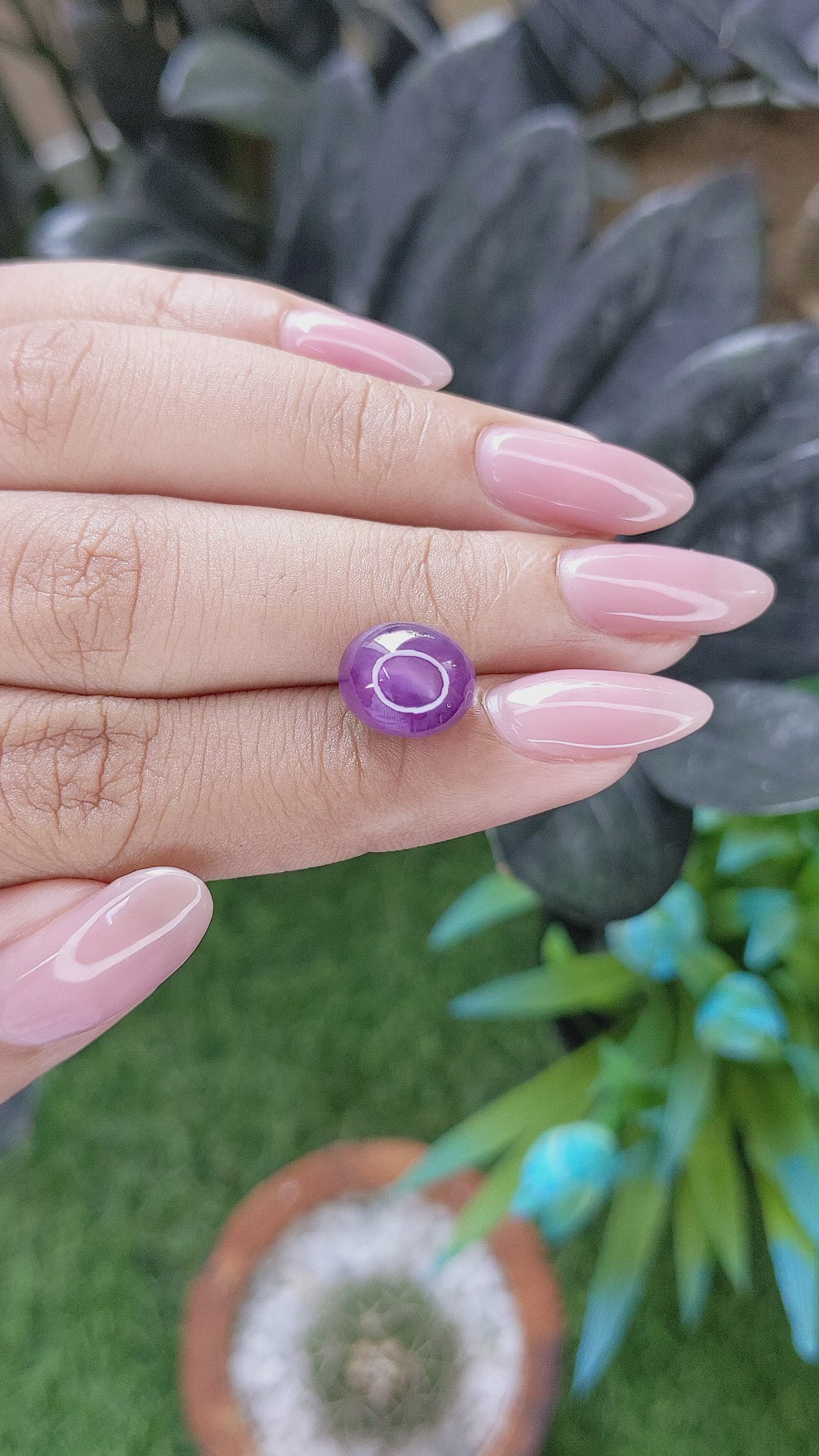8.88 Ct. Purple Star Sapphire from Ceylon (Sri Lanka) Size Video