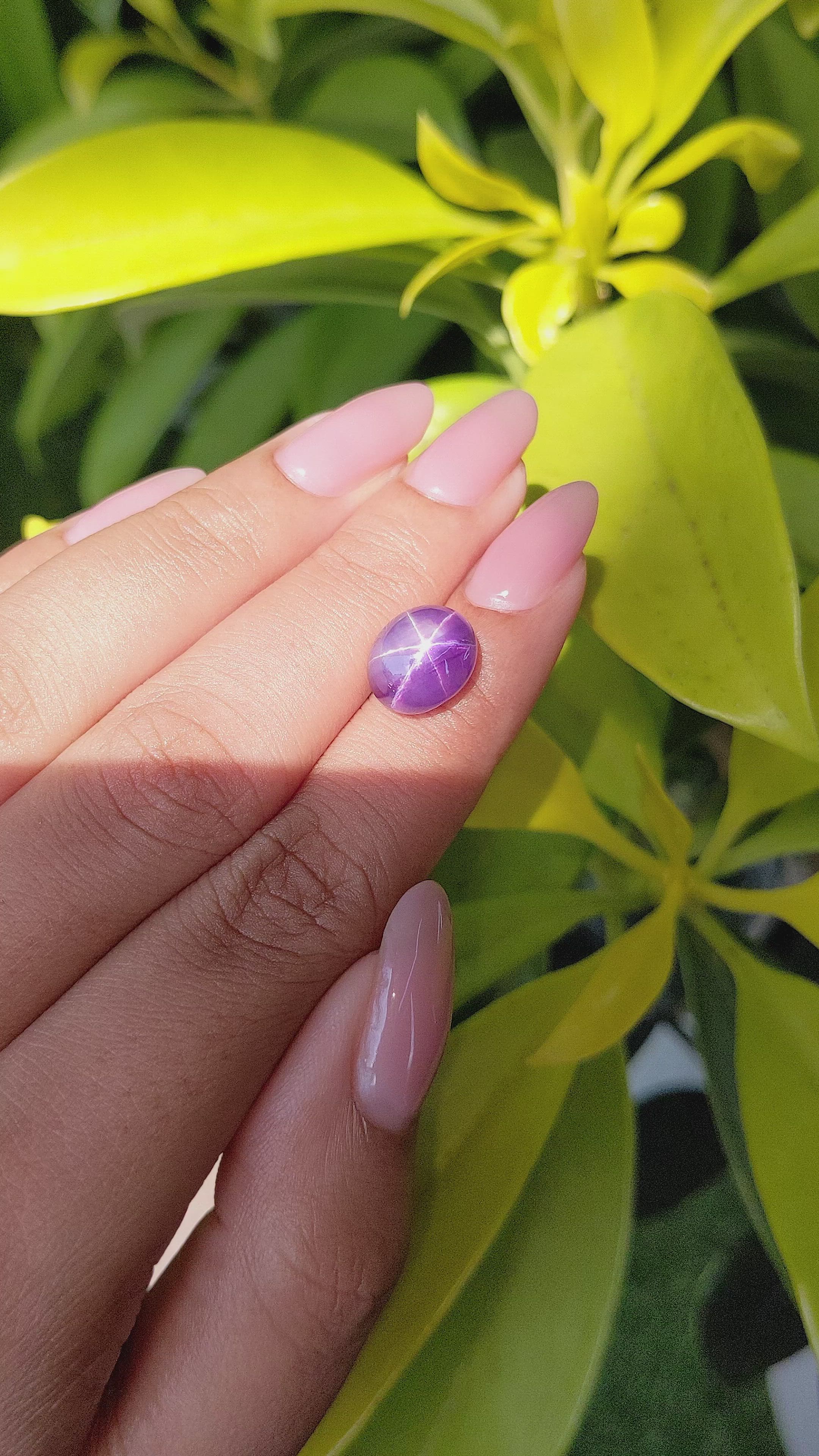 8.88 Ct. Purple Star Sapphire from Ceylon (Sri Lanka) Size Video