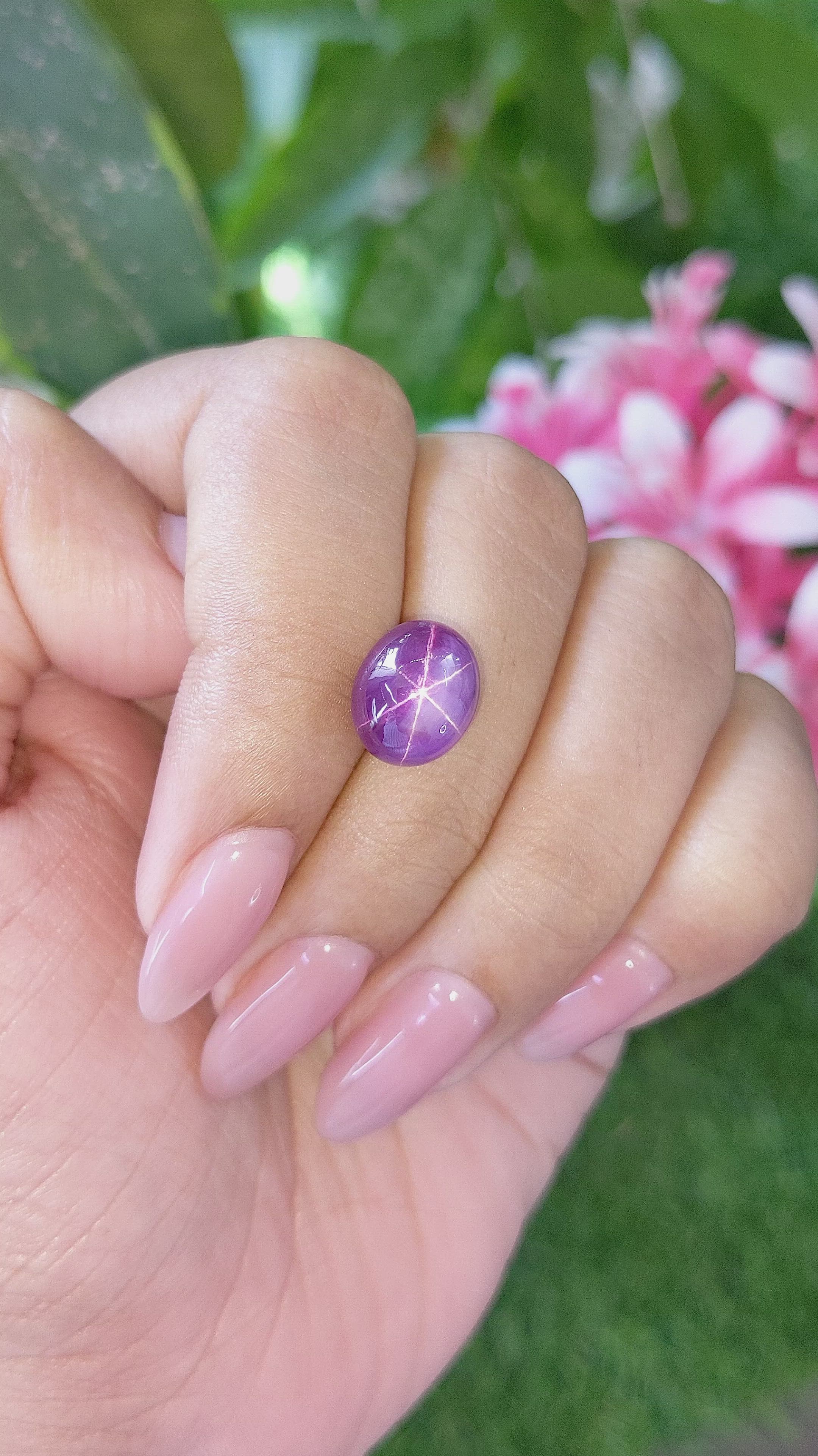 8.88 Ct. Purple Star Sapphire from Ceylon (Sri Lanka) Size Video