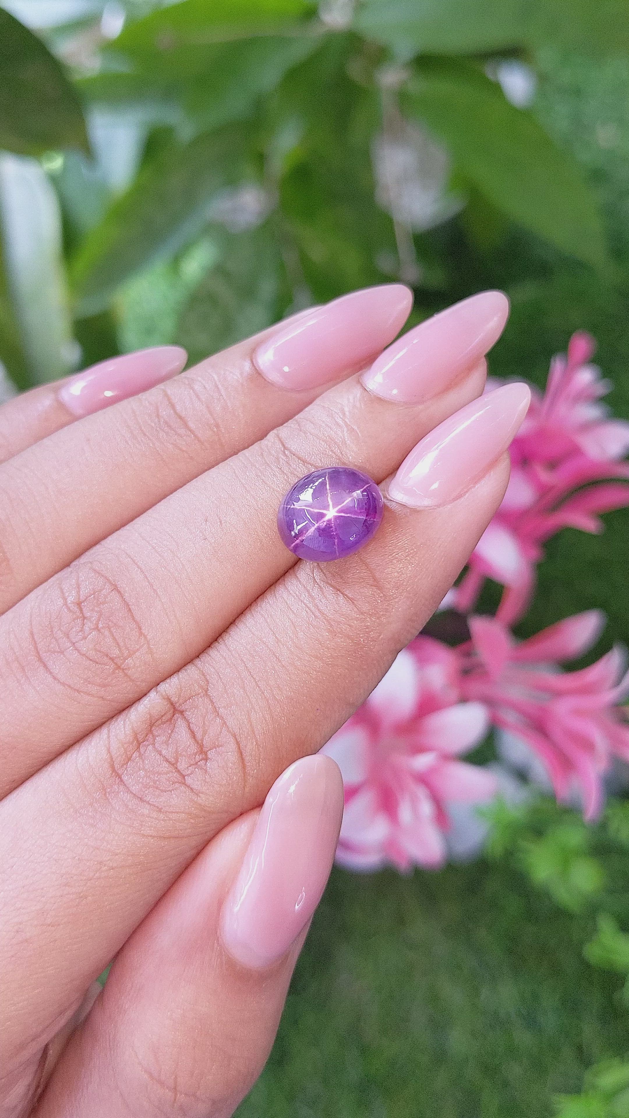 8.88 Ct. Purple Star Sapphire from Ceylon (Sri Lanka) Size Video