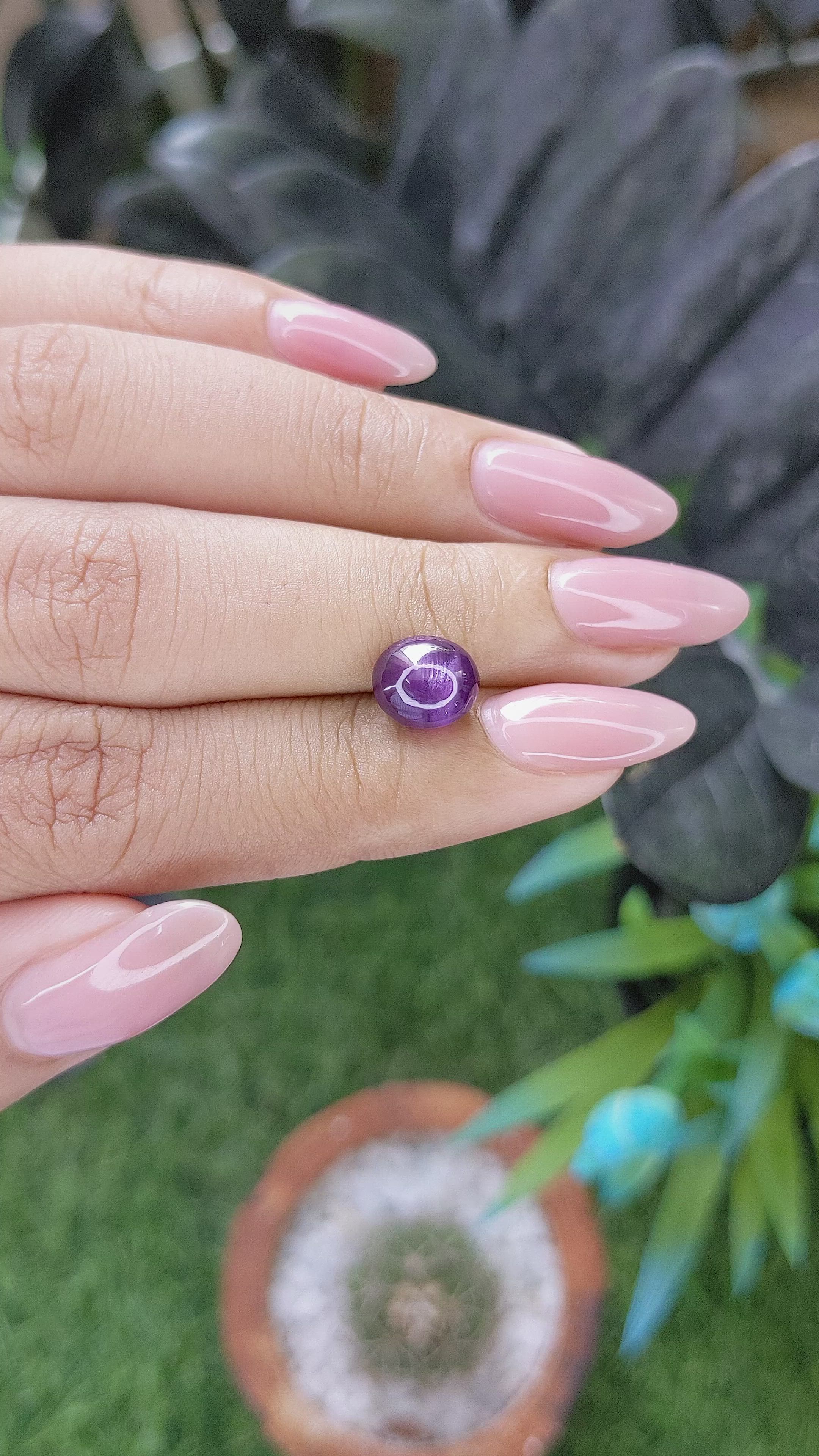 3.75 Ct. Purple Star Sapphire from Ceylon (Sri Lanka) Size Video