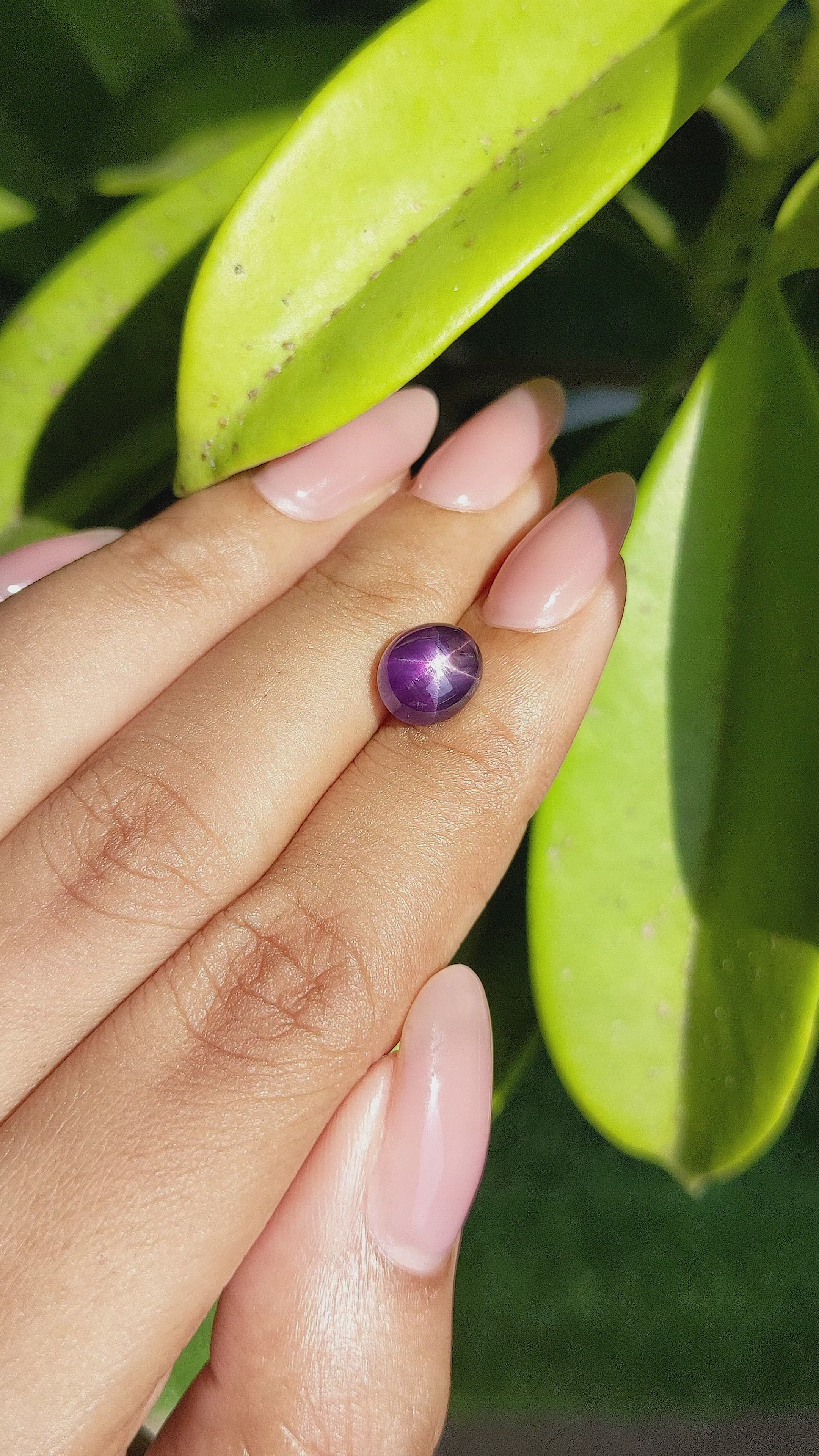 3.75 Ct. Purple Star Sapphire from Ceylon (Sri Lanka) Size Video