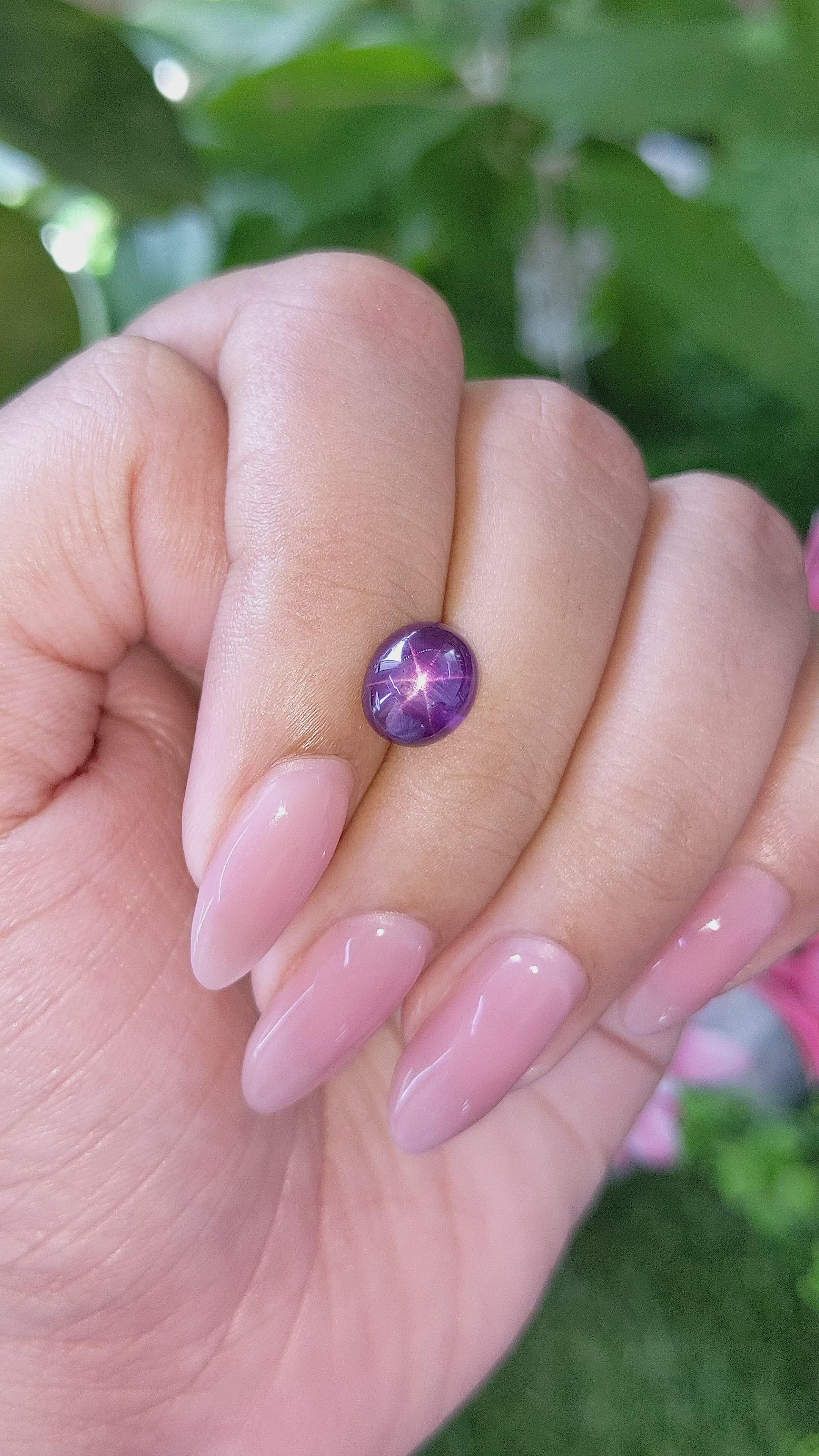 3.75 Ct. Purple Star Sapphire from Ceylon (Sri Lanka) Size Video