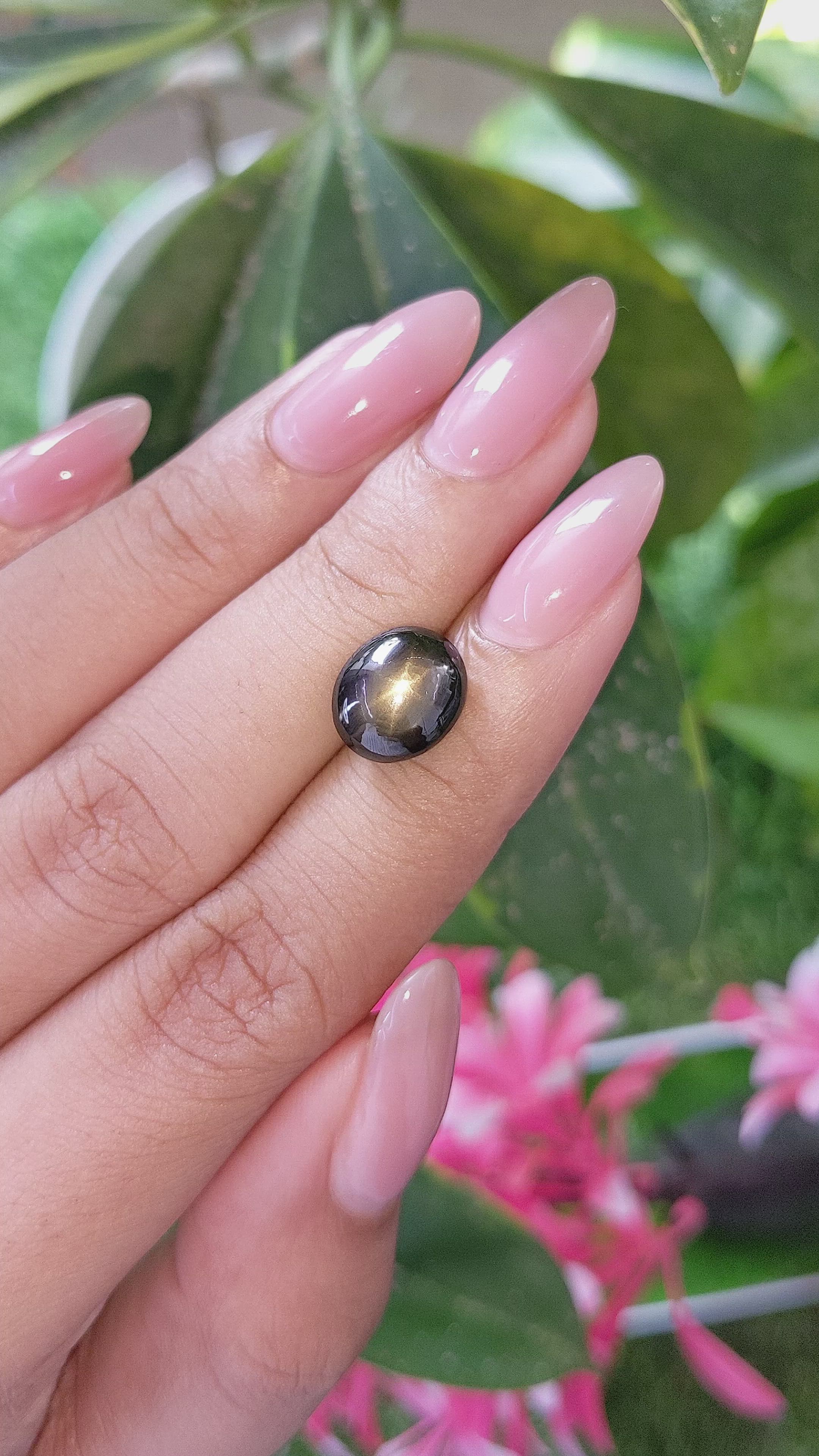 6.36 Ct. Brown Star Sapphire from Ceylon (Sri Lanka) Size Video