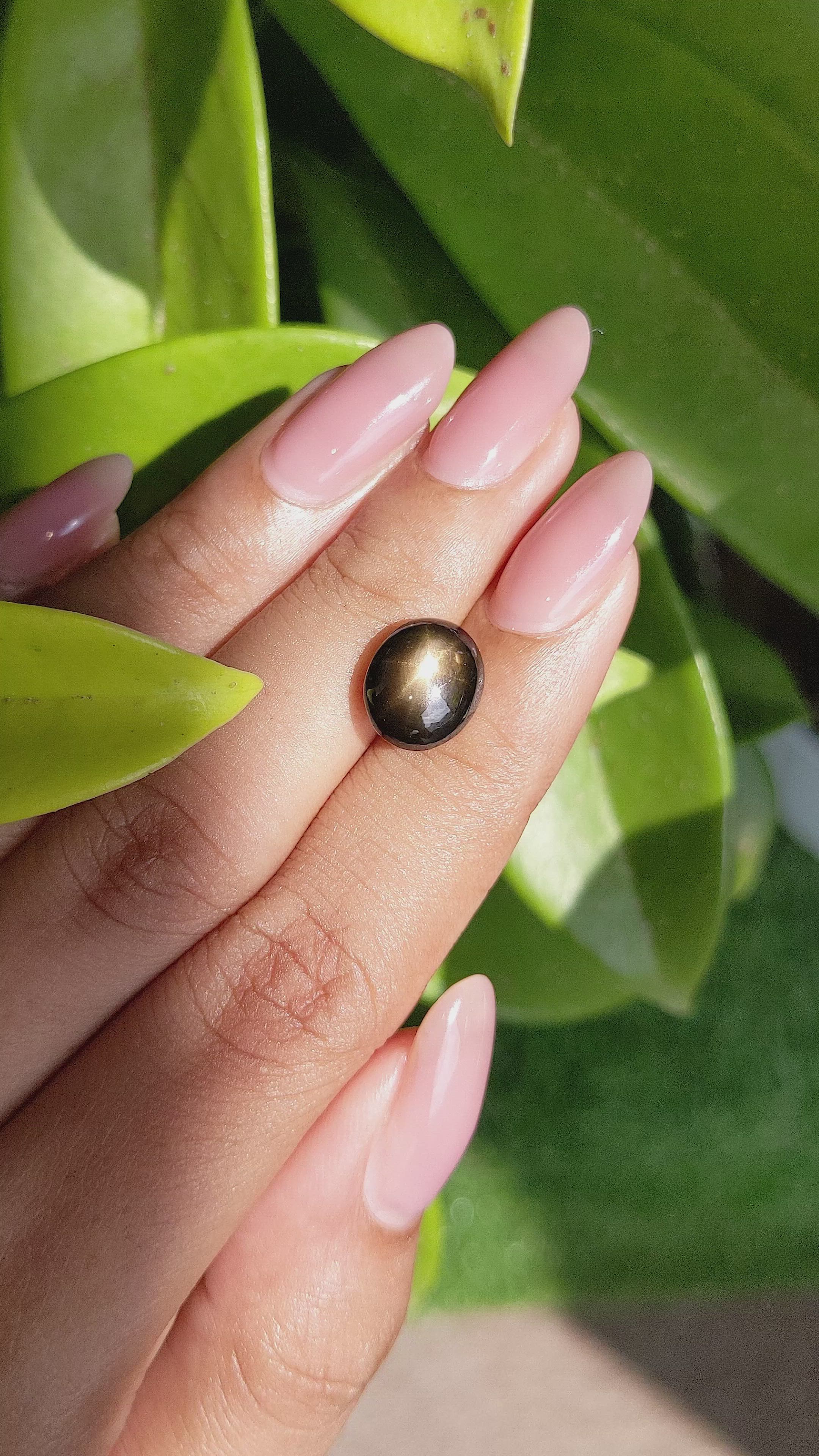 6.36 Ct. Brown Star Sapphire from Ceylon (Sri Lanka) Size Video