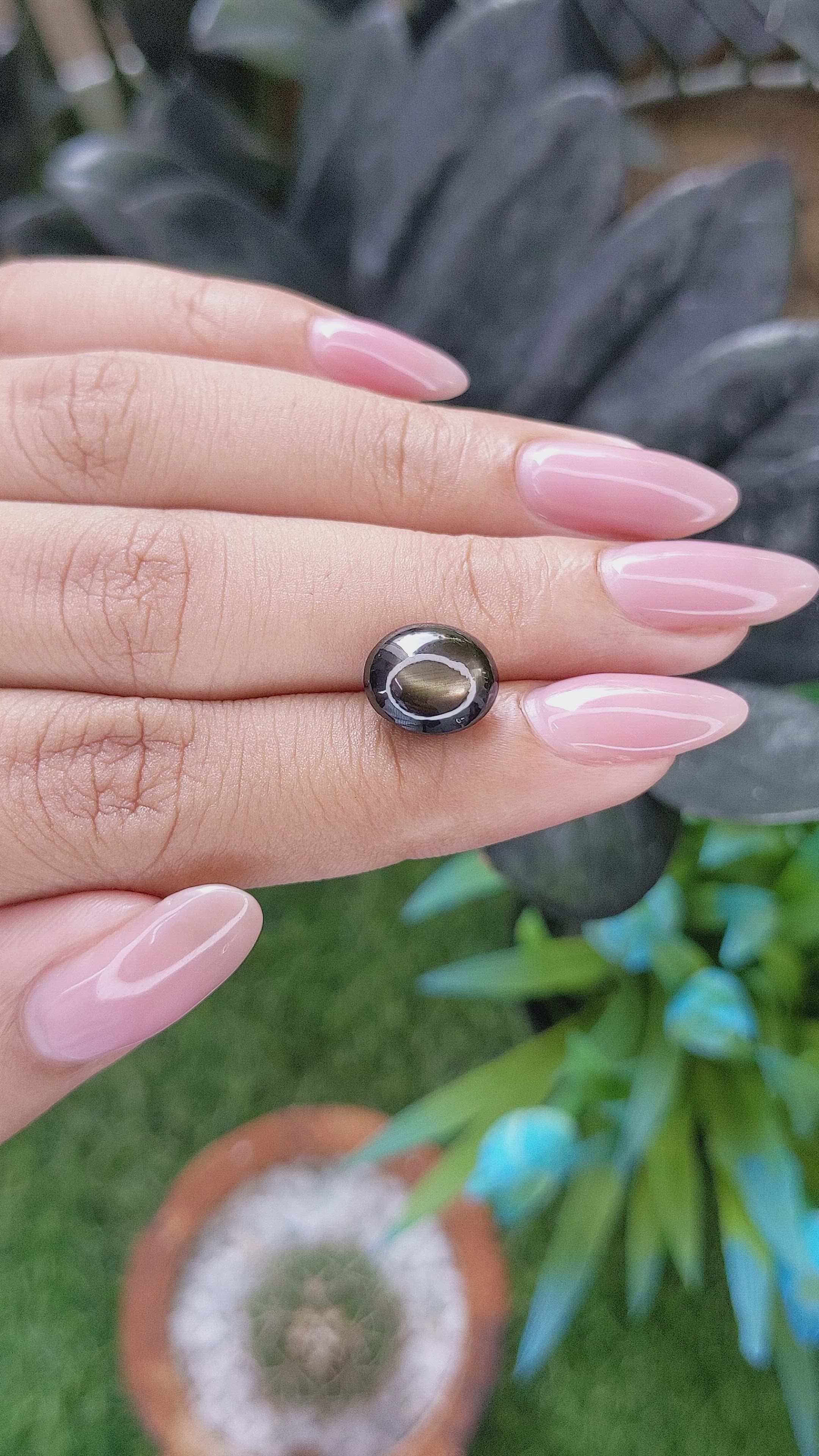 6.36 Ct. Brown Star Sapphire from Ceylon (Sri Lanka) Size Video