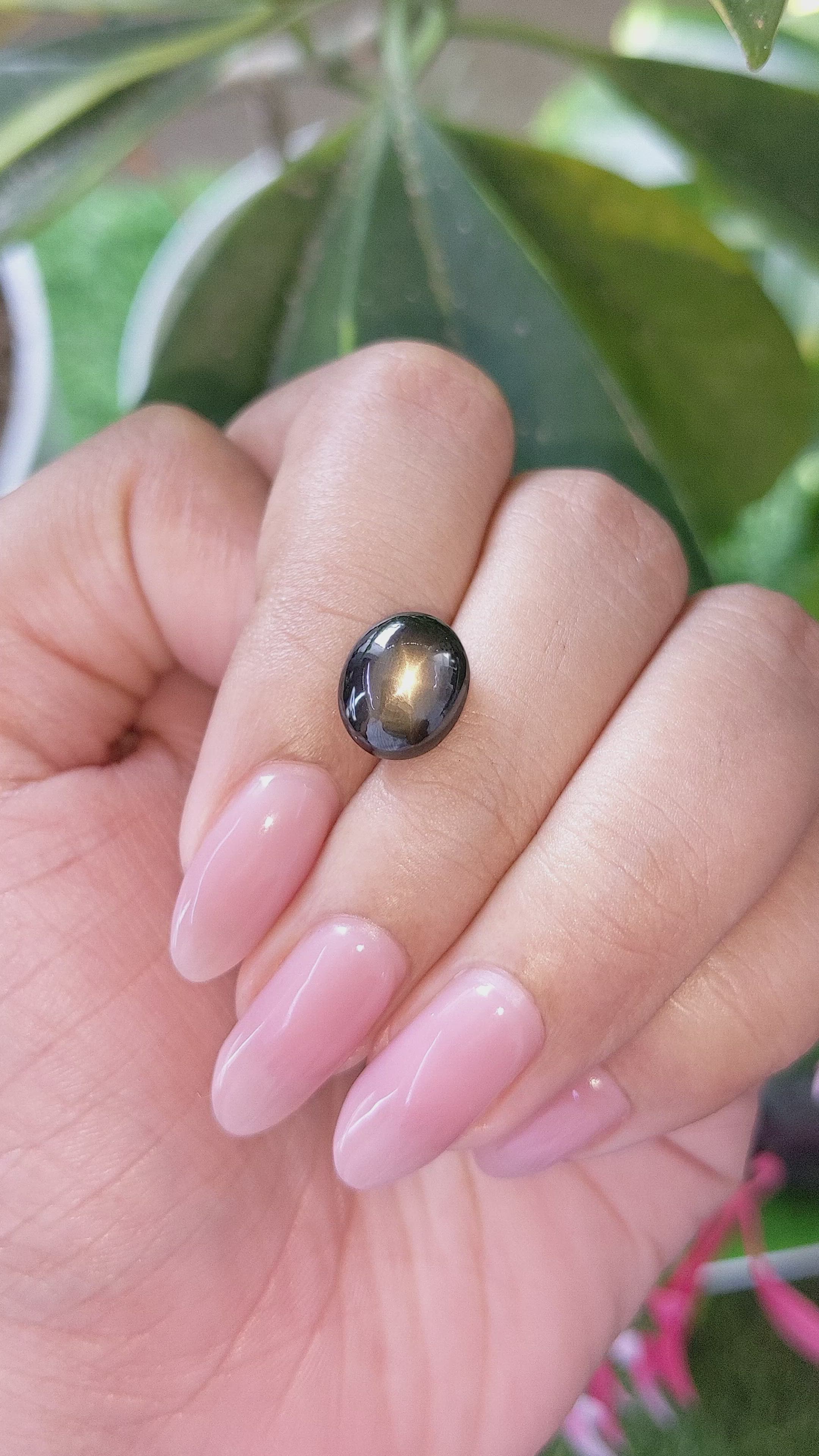 6.36 Ct. Brown Star Sapphire from Ceylon (Sri Lanka) Size Video