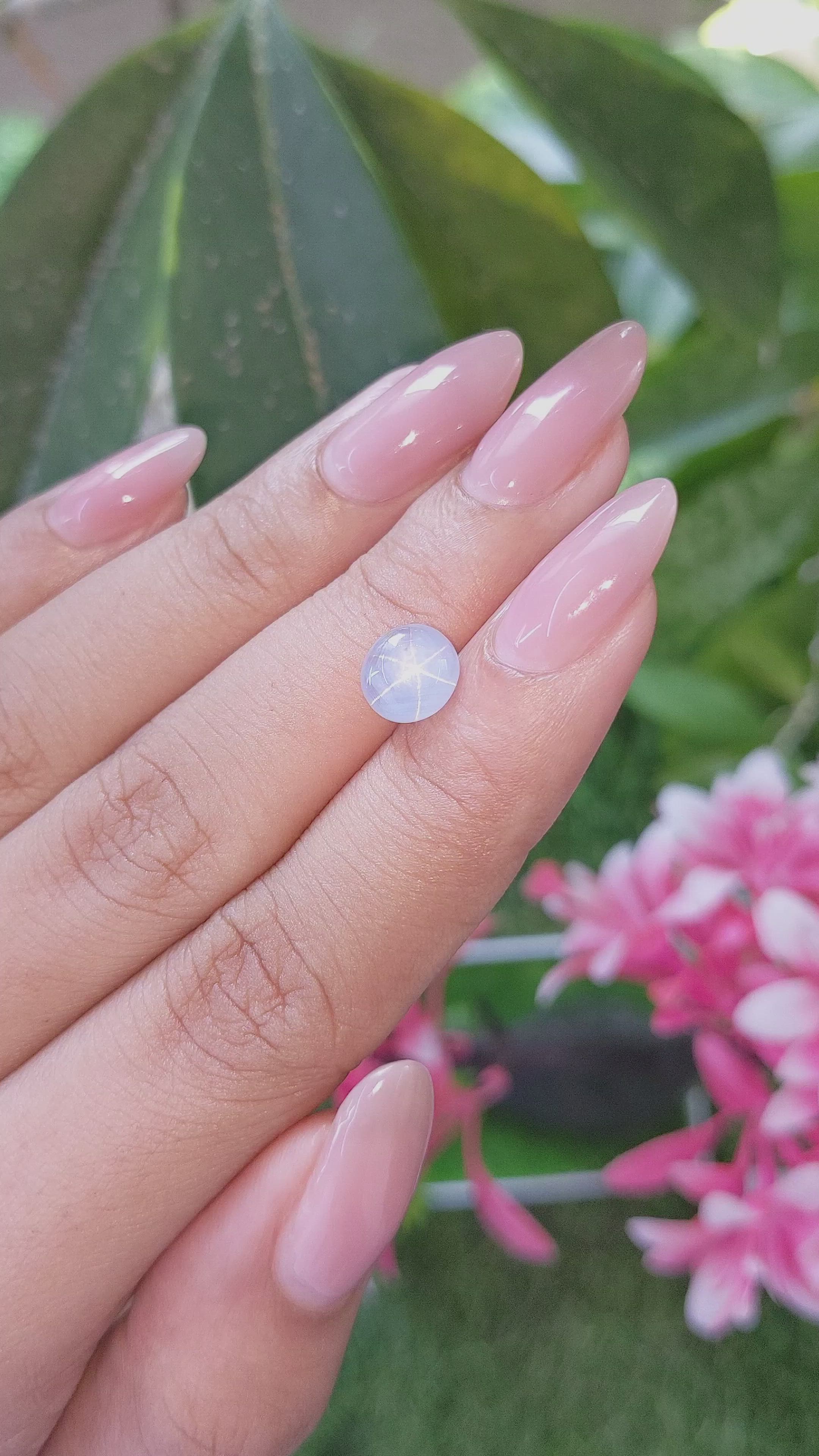 2.65 Ct. Blue Star Sapphire from Ceylon (Sri Lanka) Size Video