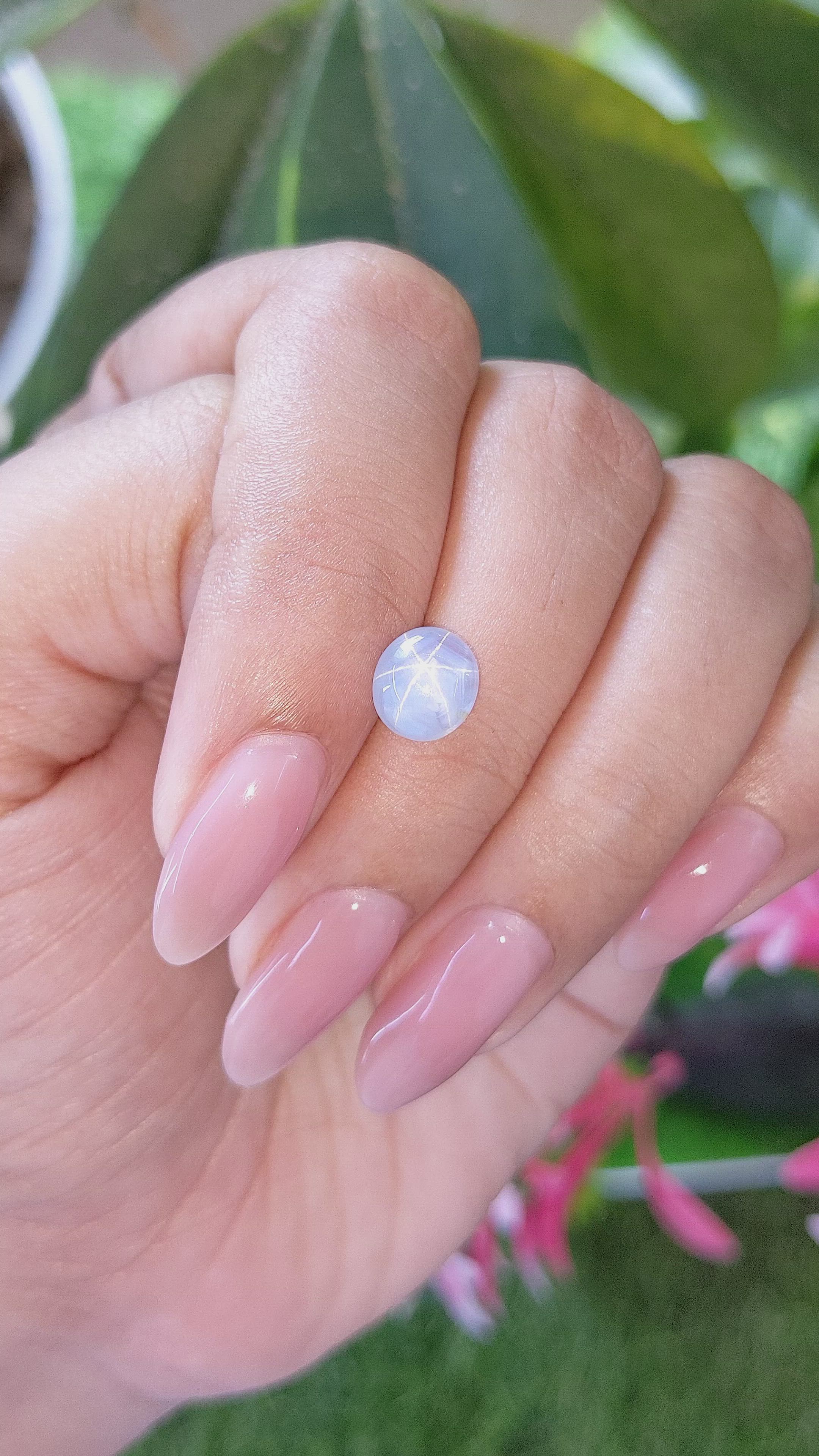 2.65 Ct. Blue Star Sapphire from Ceylon (Sri Lanka) Size Video