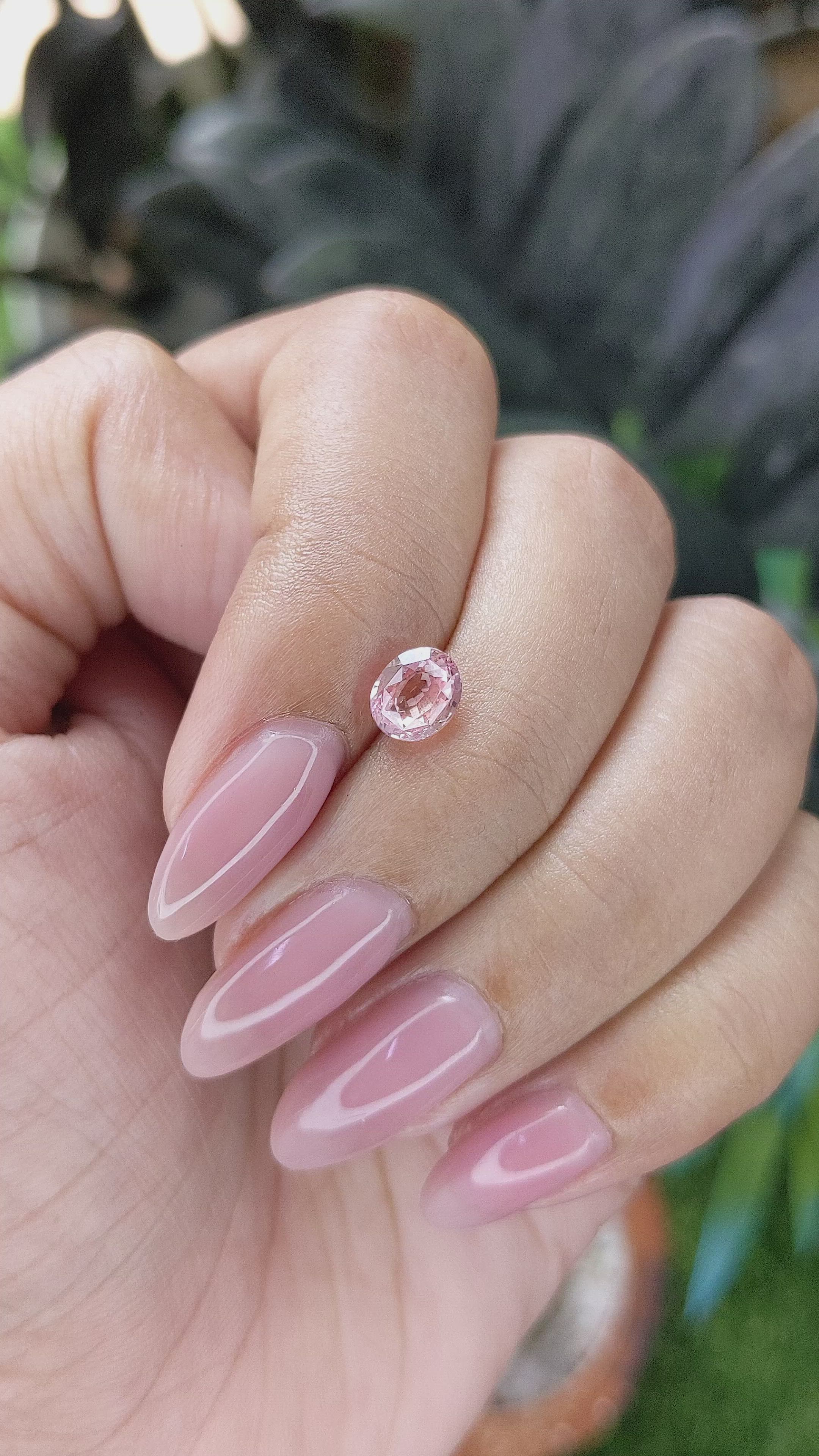 1.30 Ct. Pink Sapphire from Ceylon (Sri Lanka) Size Video