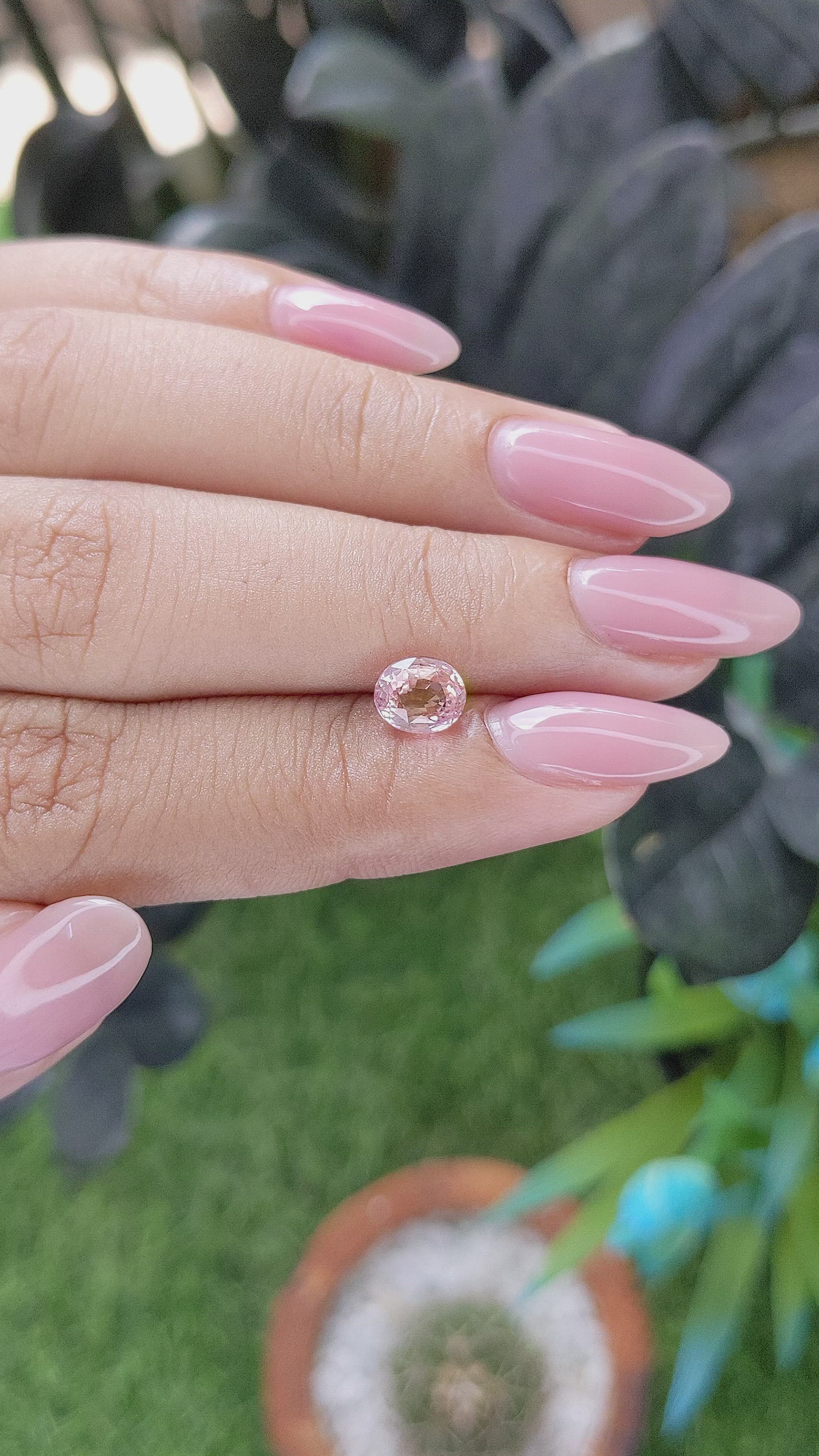 1.30 Ct. Pink Sapphire from Ceylon (Sri Lanka) Size Video
