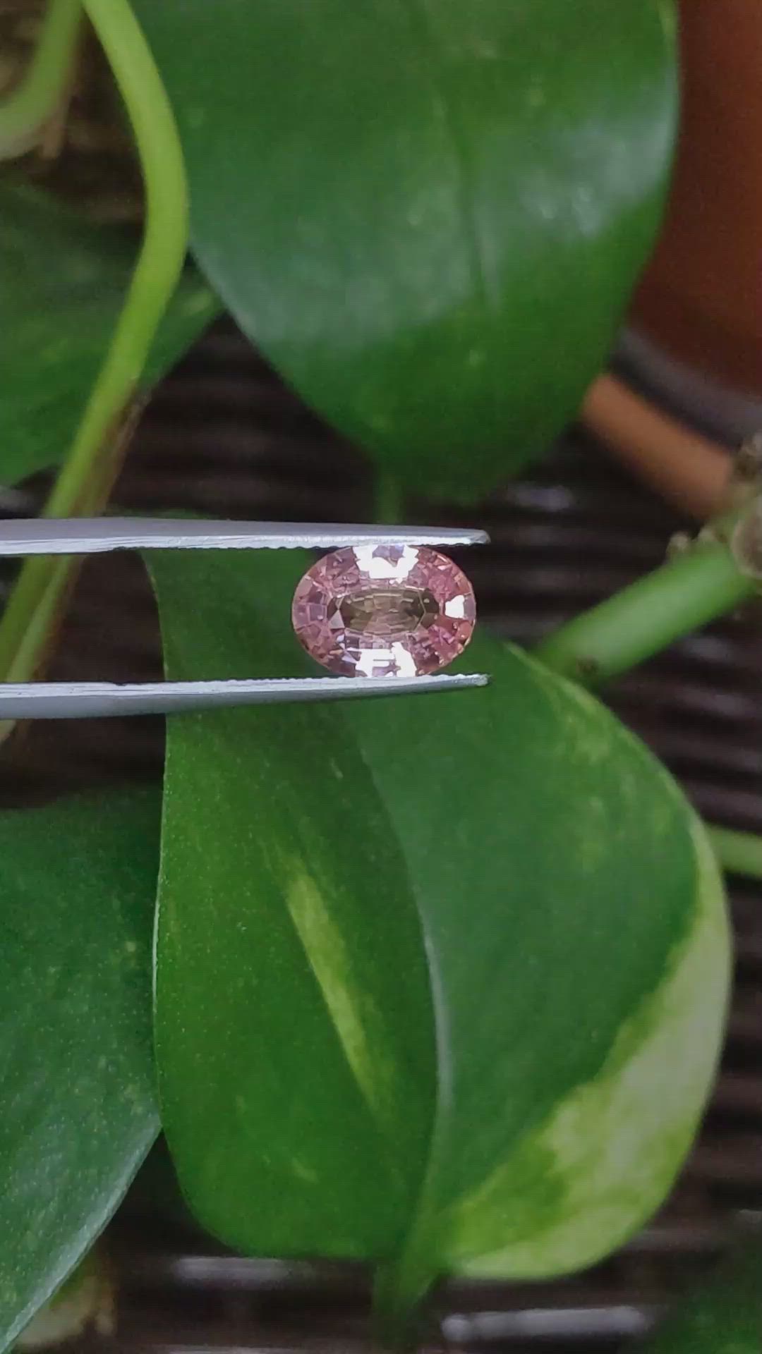 2.14 Ct. Padparadscha Sapphire from Ceylon (Sri Lanka) Size Video