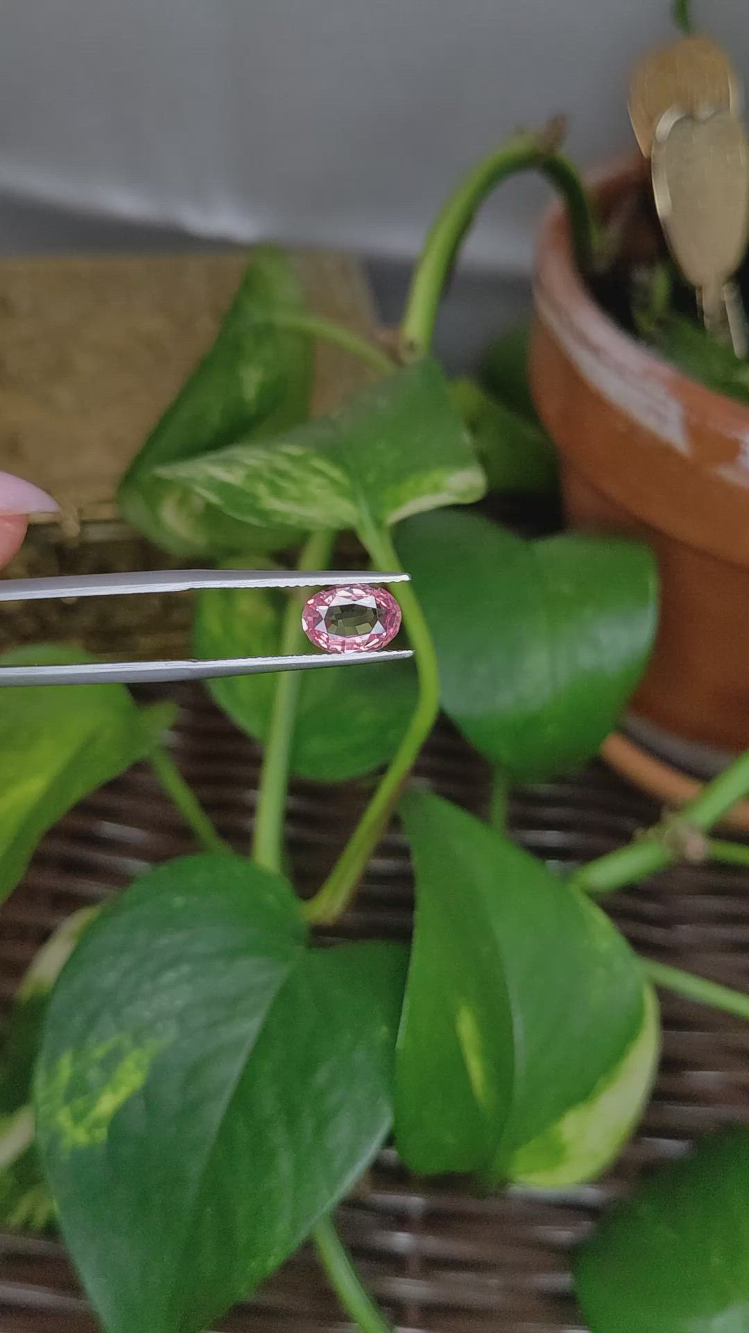 1.36 Ct. Padparadscha Sapphire from Ceylon (Sri Lanka) Size Video