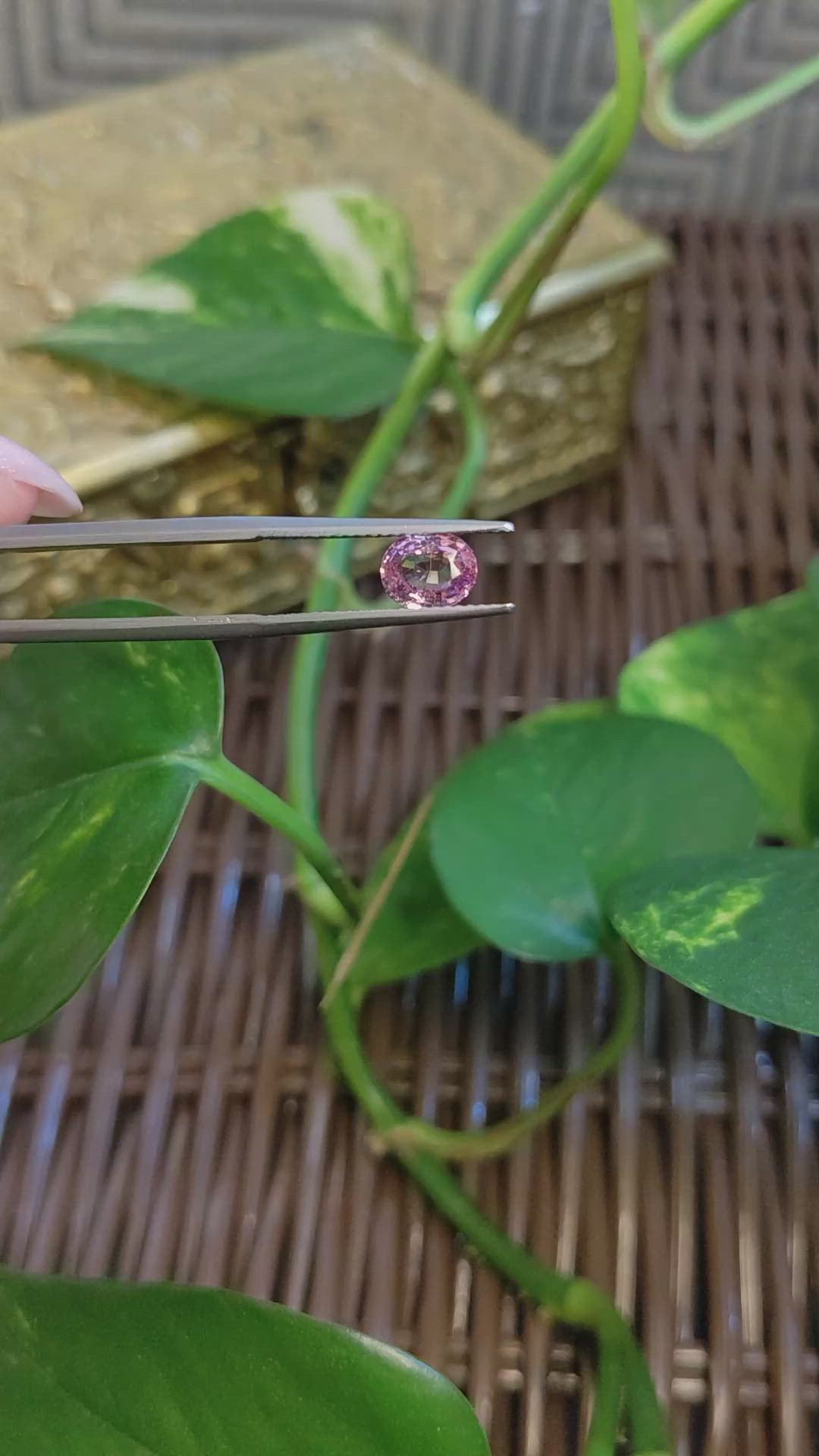 1.35 Ct. Padparadscha Sapphire from Ceylon (Sri Lanka) Size Video