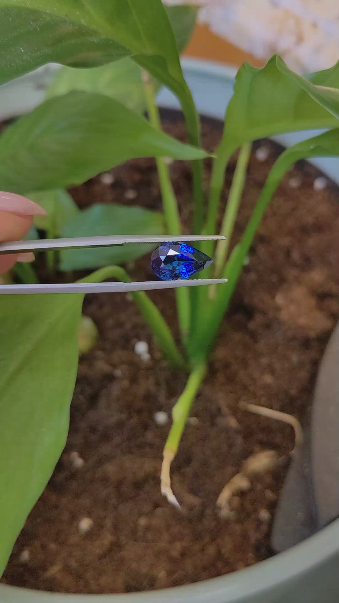 3.03 Ct. Blue Sapphire from Ceylon (Sri Lanka) Size Video