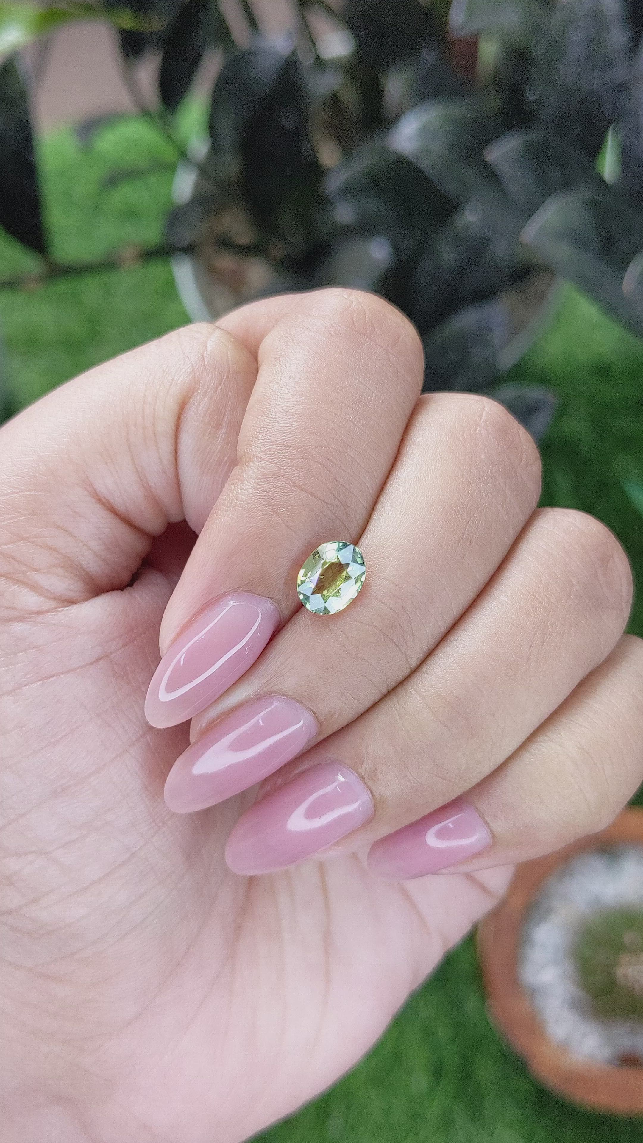 1.52 Ct. Bi Color / Parti Sapphire from Madagascar Size Video