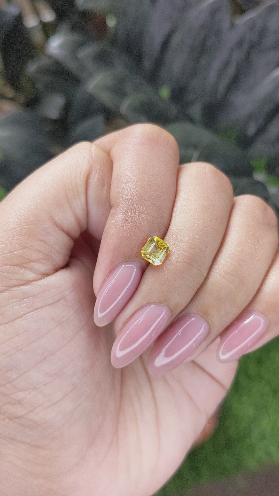 1.14 Ct. Yellow Sapphire from Ceylon (Sri Lanka) Size Video