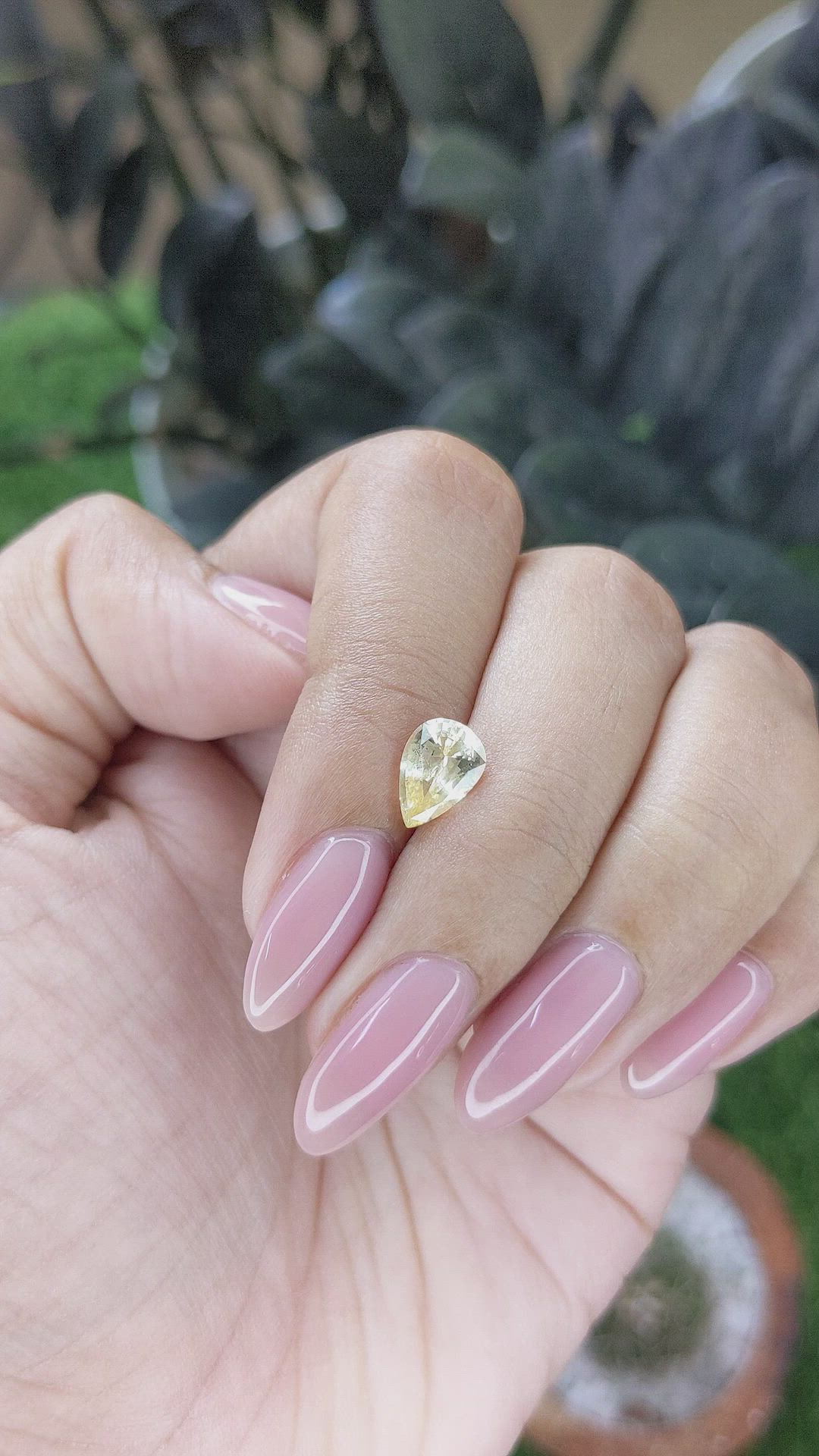 1.44 Ct. Yellow Sapphire from Ceylon (Sri Lanka) Size Video