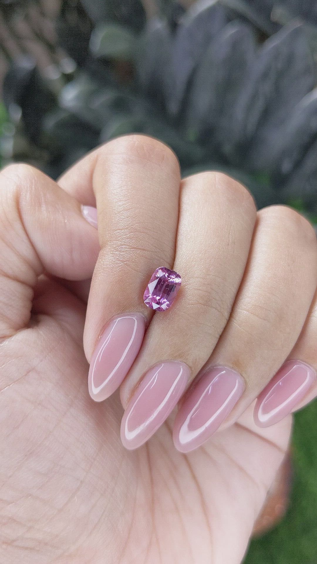 1.54 Ct. Purplish Pink Sapphire from Ceylon (Sri Lanka) Size Video