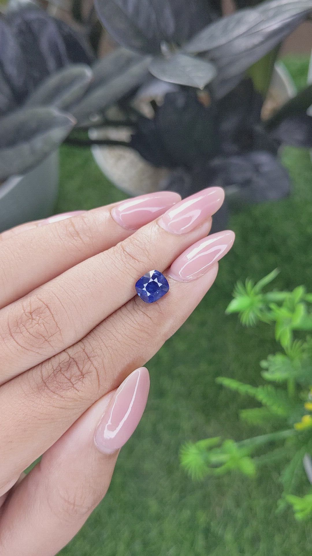 2.25 Ct. Blue Sapphire from Ceylon (Sri Lanka) Size Video