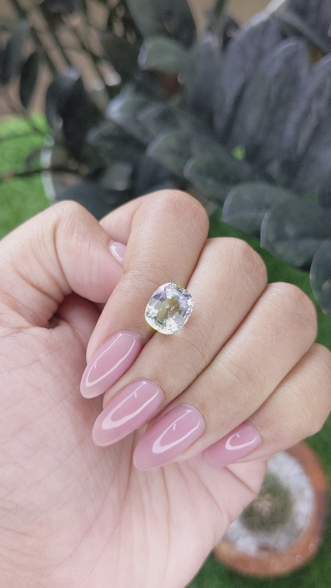 4.04 Ct. Yellowish Green Sapphire from Ceylon (Sri Lanka) Size Video