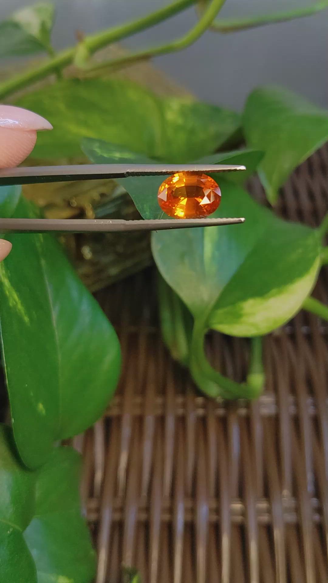 3.07 Ct. Orange Sapphire from Ceylon (Sri Lanka) Size Video