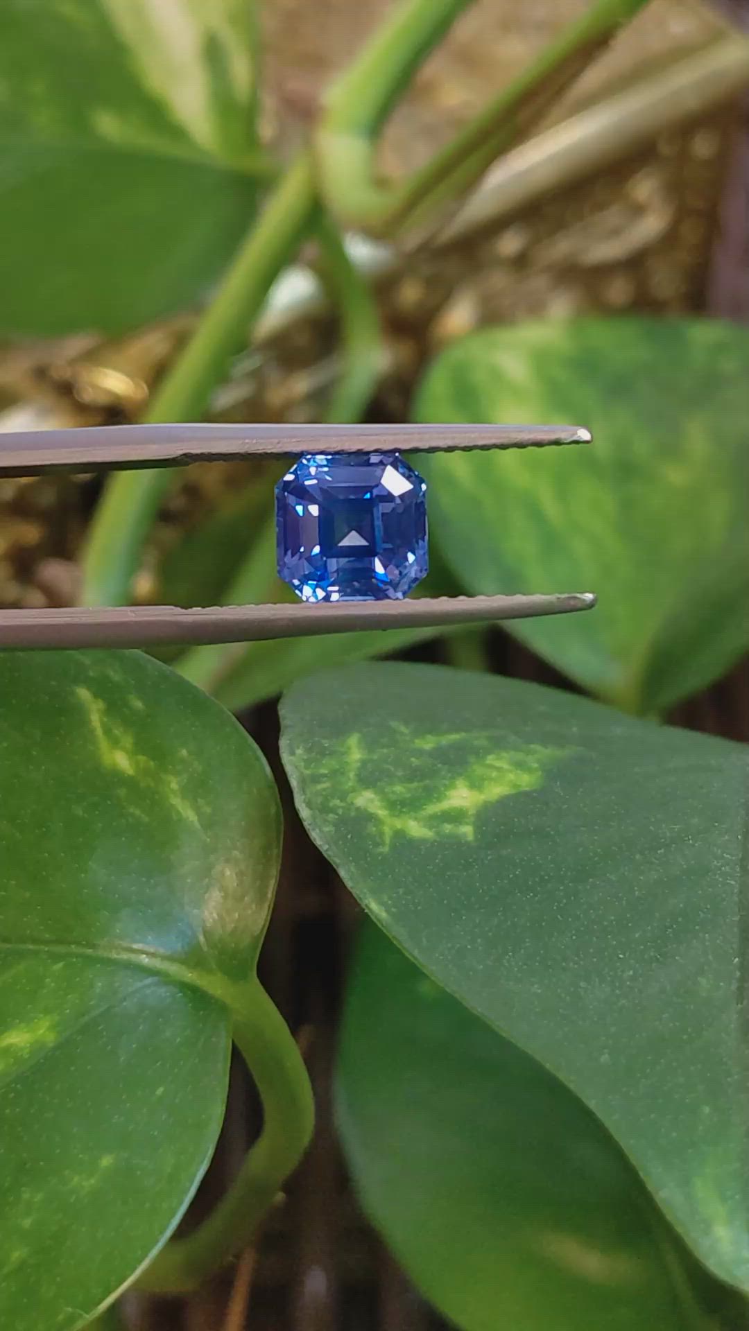 2.65 Ct. Blue Sapphire from Ceylon (Sri Lanka) Size Video