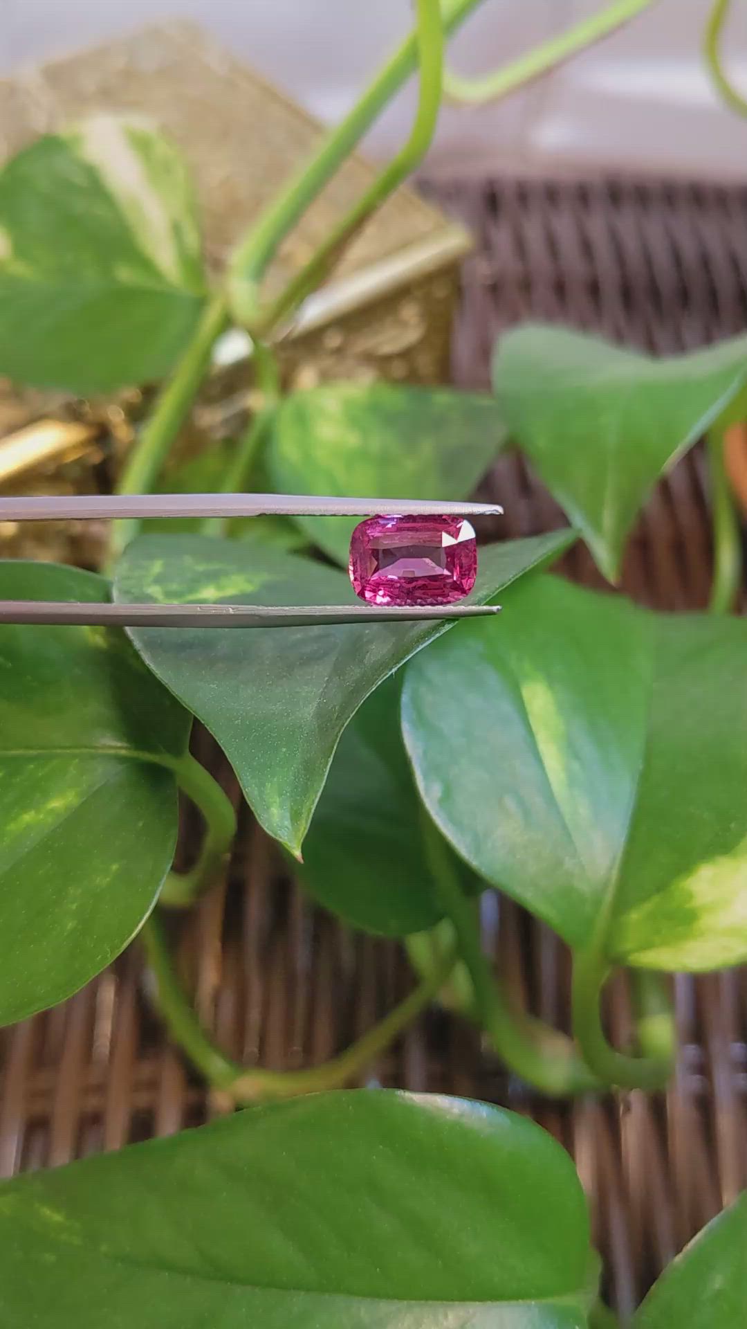3.01 Ct. Pink Sapphire from Ceylon (Sri Lanka) Size Video