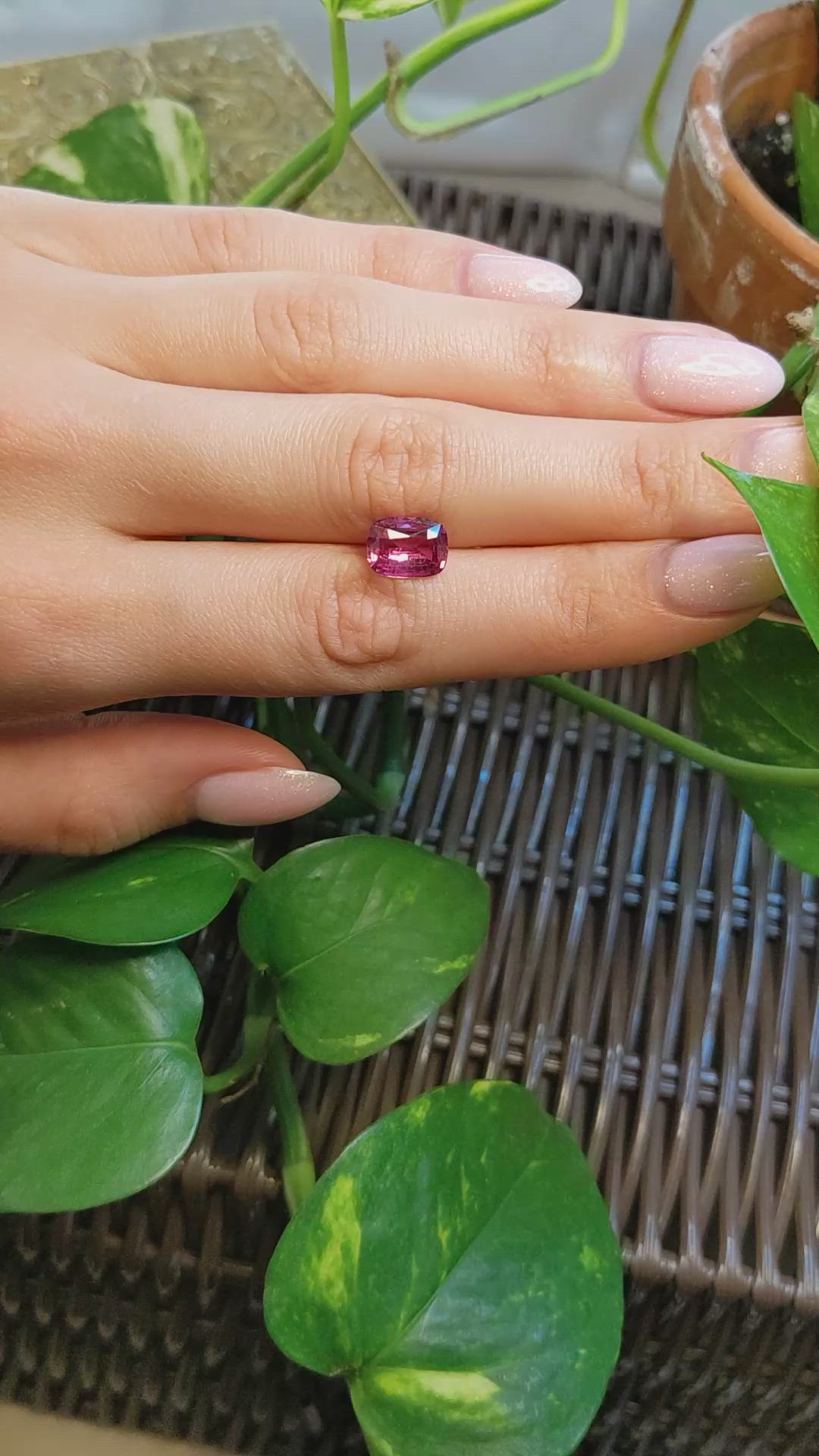 3.01 Ct. Pink Sapphire from Ceylon (Sri Lanka) Size Video