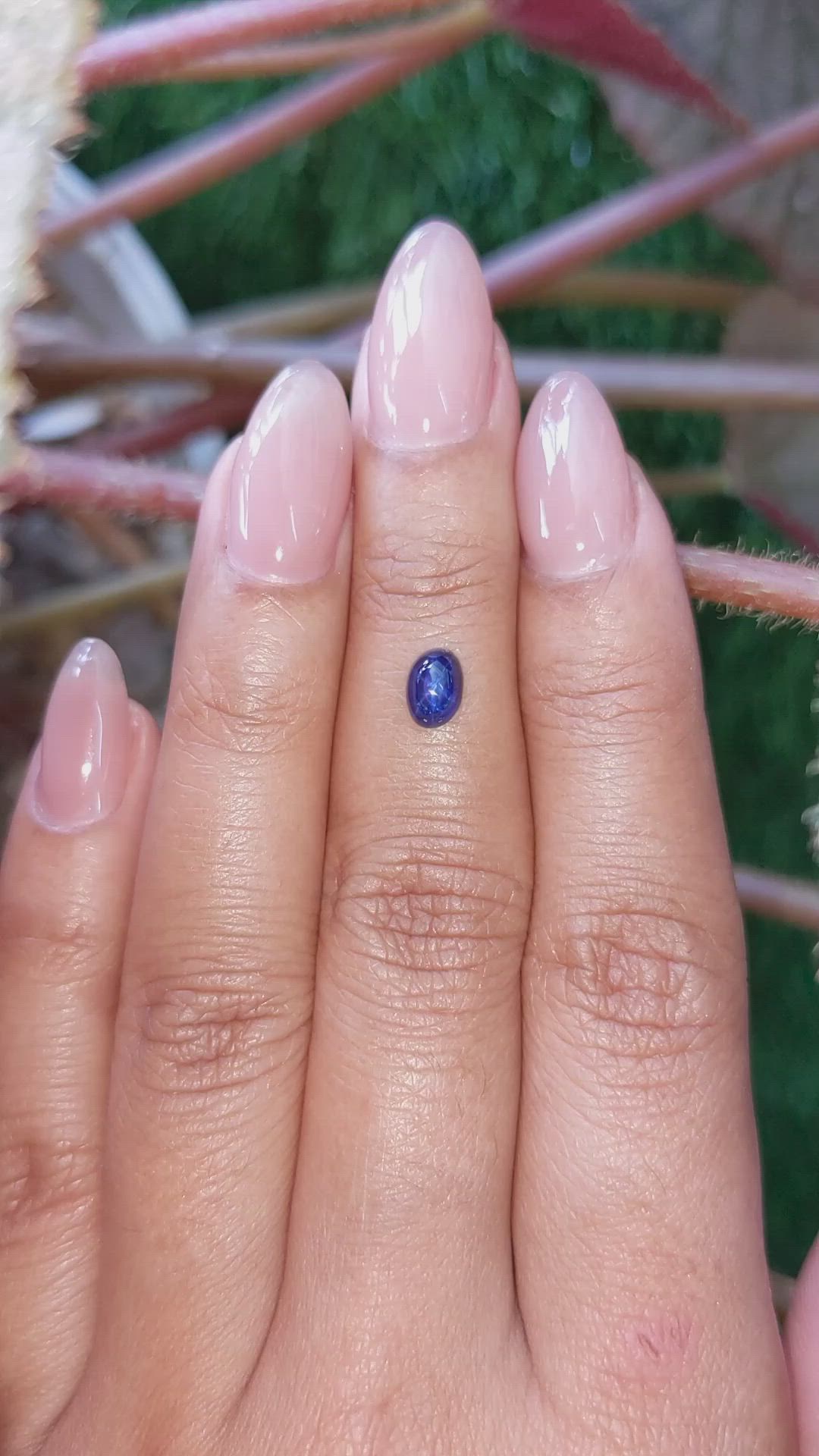 0.97 Ct. Blue Star Sapphire from Ceylon (Sri Lanka) Size Video